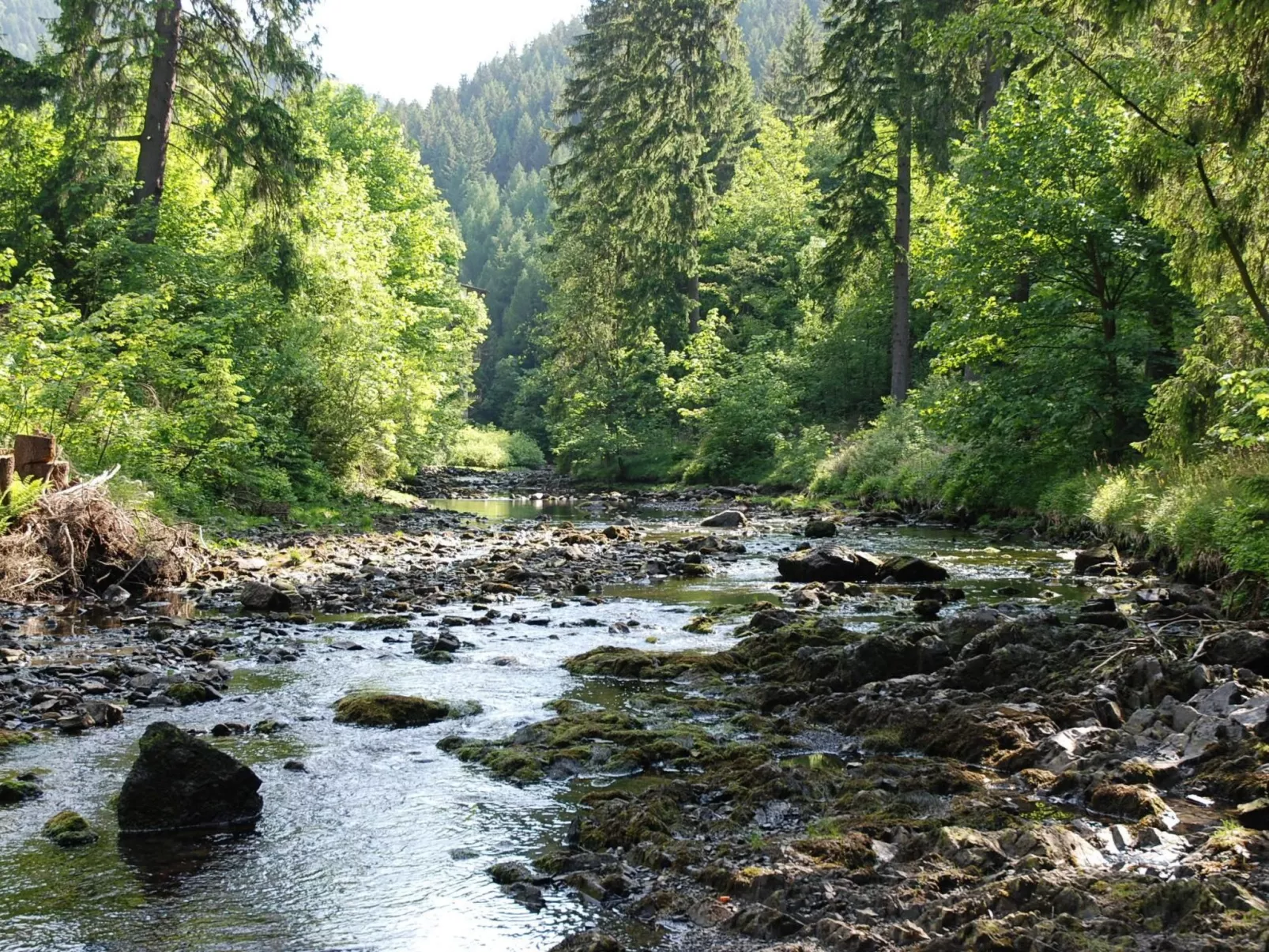 Wohnung in Bad Harzburg mit Garten-Outside