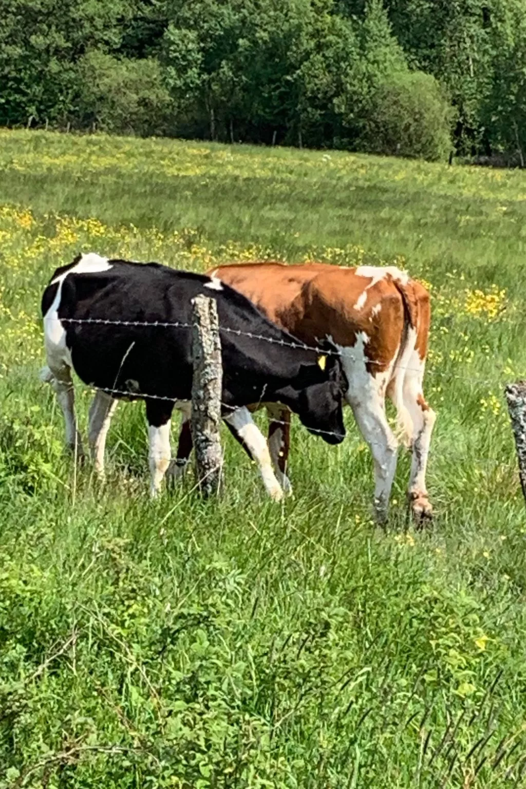 Mit eigener Terrasse-Outside