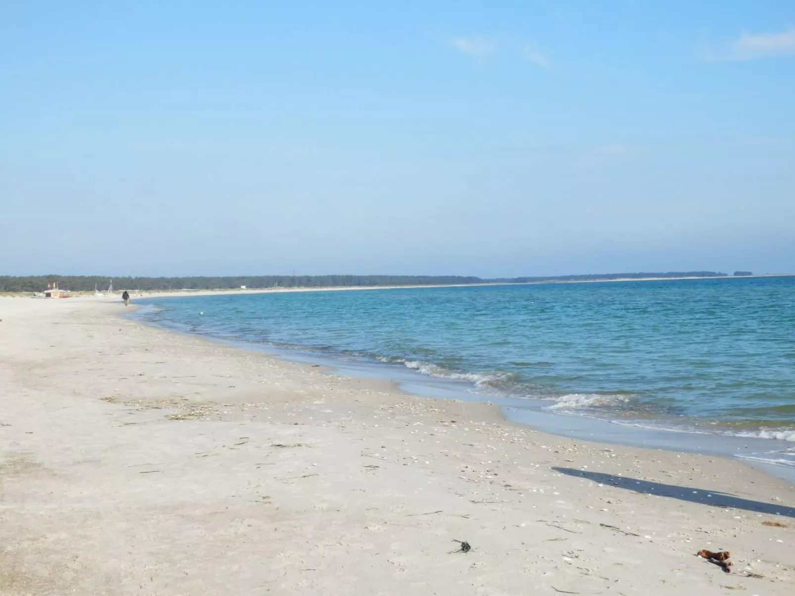 Wohnung Kajüte-Dehors