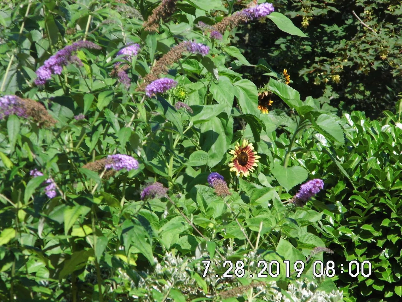 Am malerischen Nepperminer See-Outside