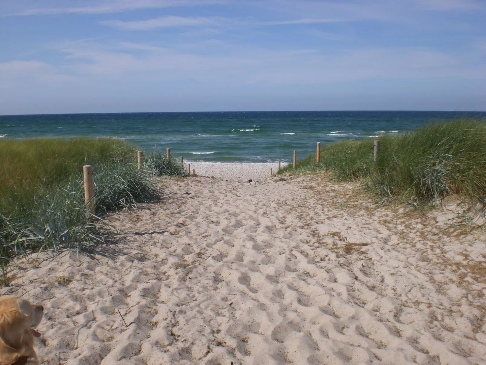 Appartement Achtern-Diek-am-Strand in Zingst-Draußen