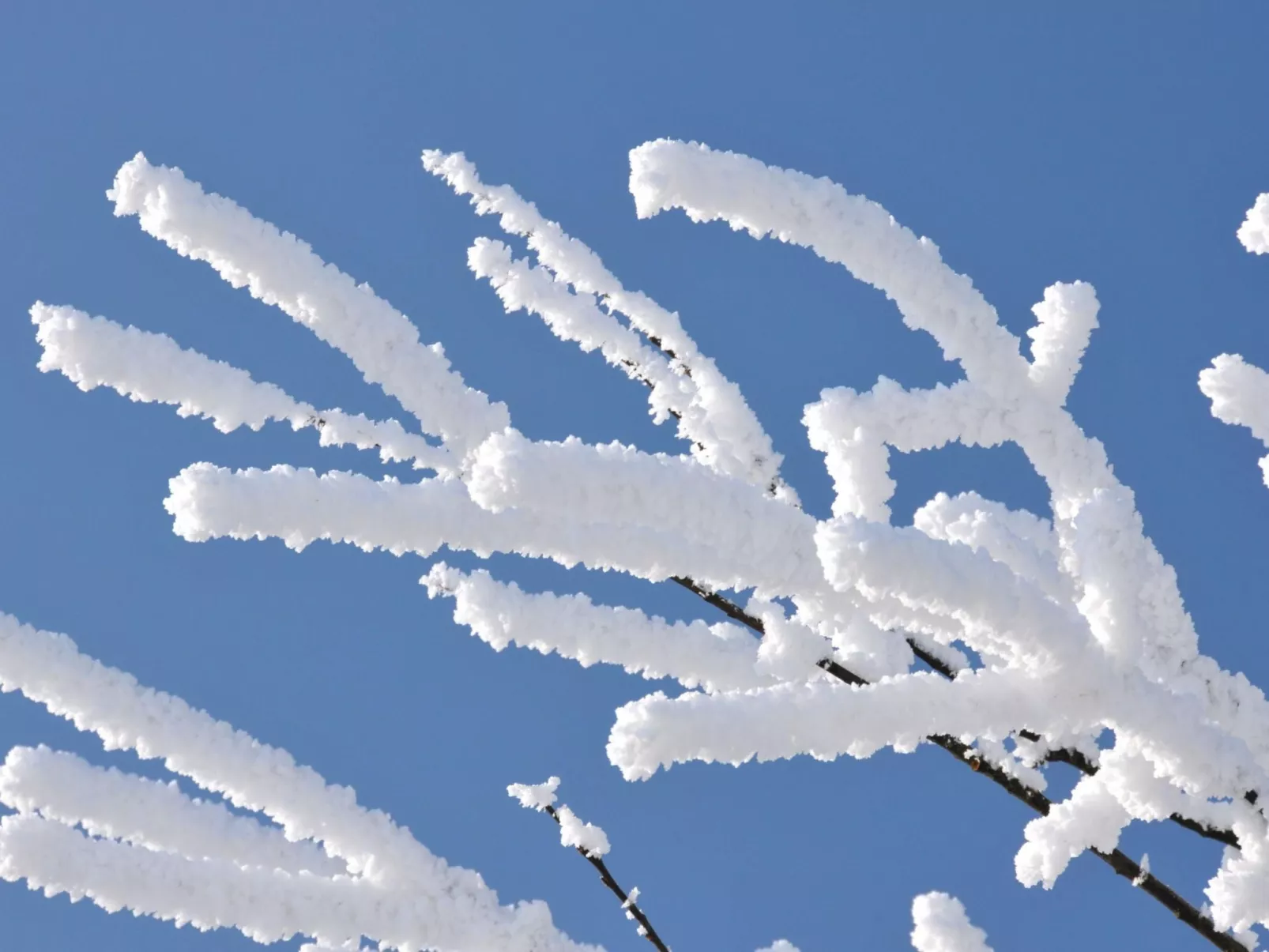 Mit herrlicher Aussicht in die Berge-Outside