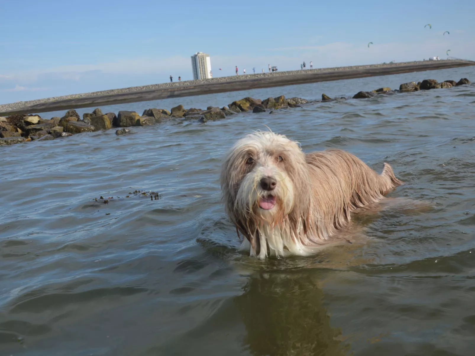 Gemütliche Ferienwohnung in Büsum-Draußen