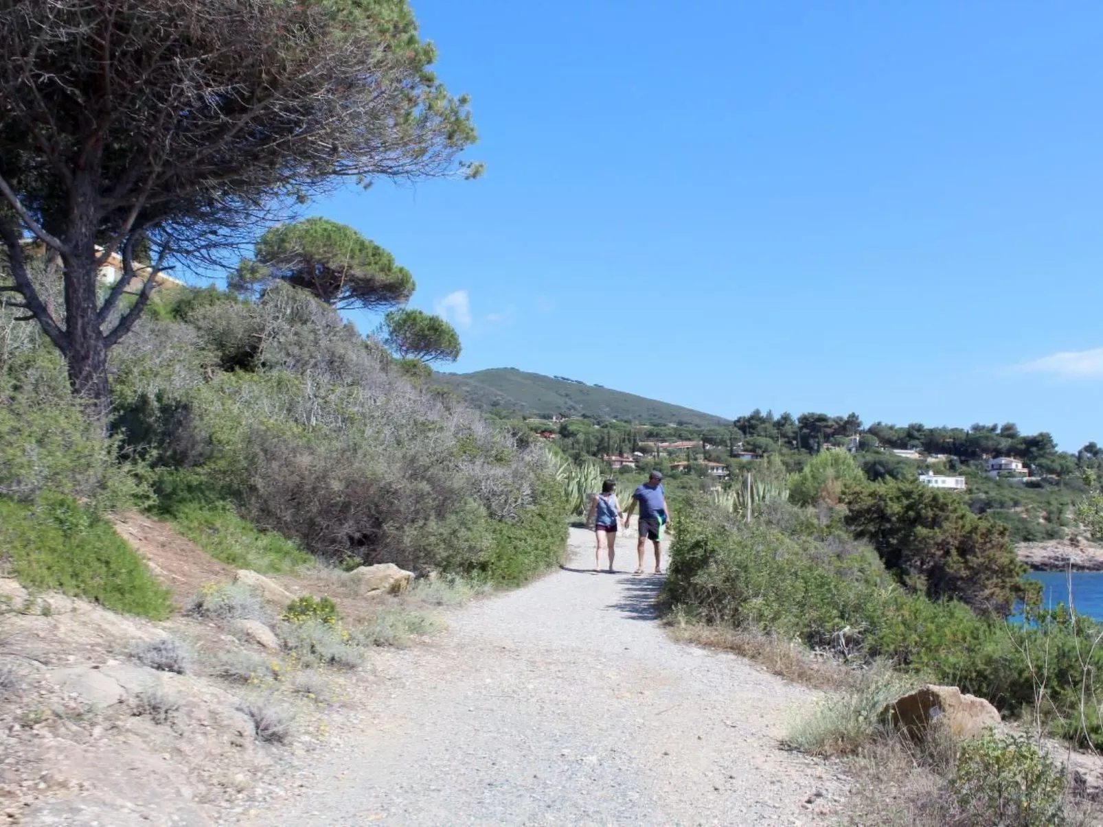 'Artemis2' mit Terrasse-Image-tags.info