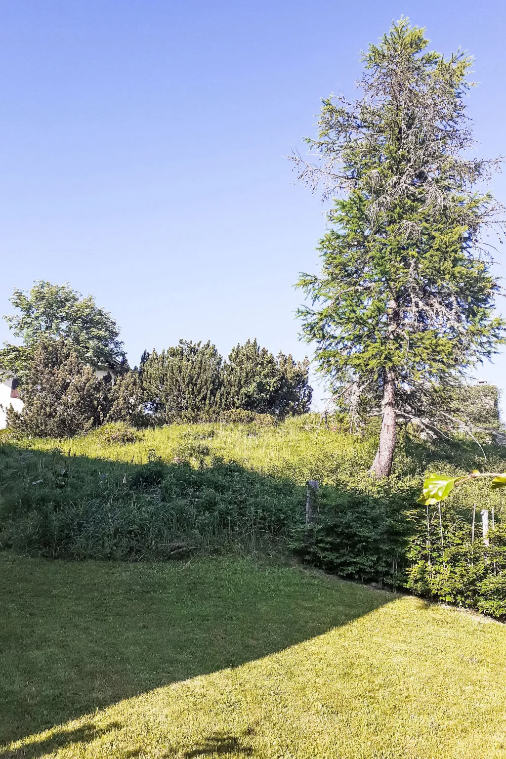 Wohnung 'Cad Maté 2' mit Bergblick-Umgebung