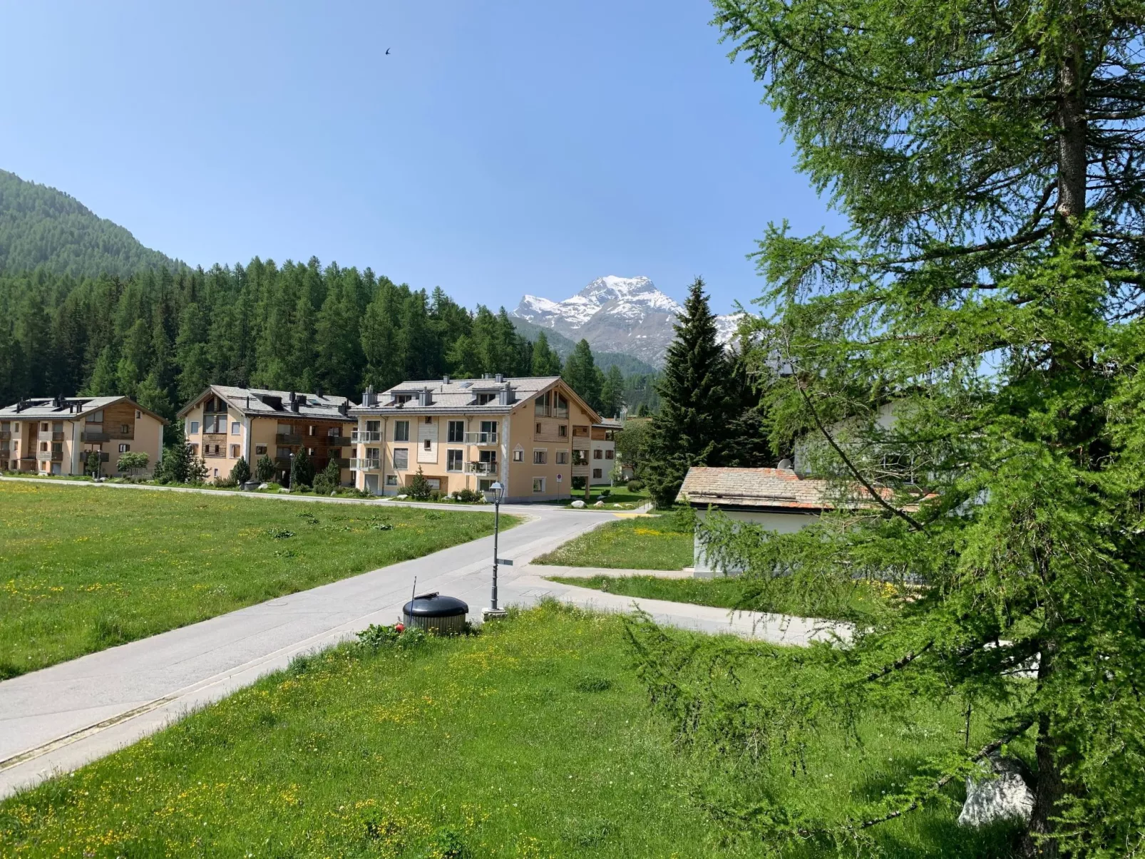 Pablo 19-Image-tags.info