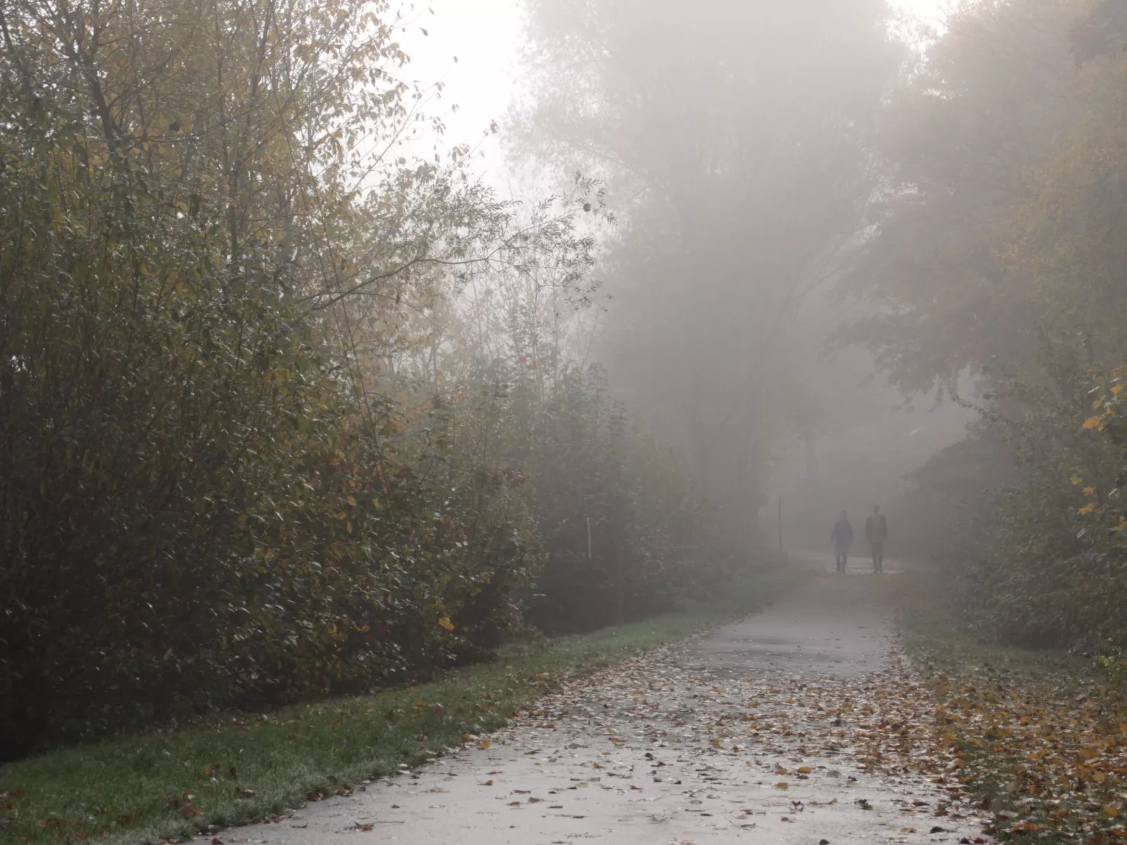 BärenNest Haus-Draußen