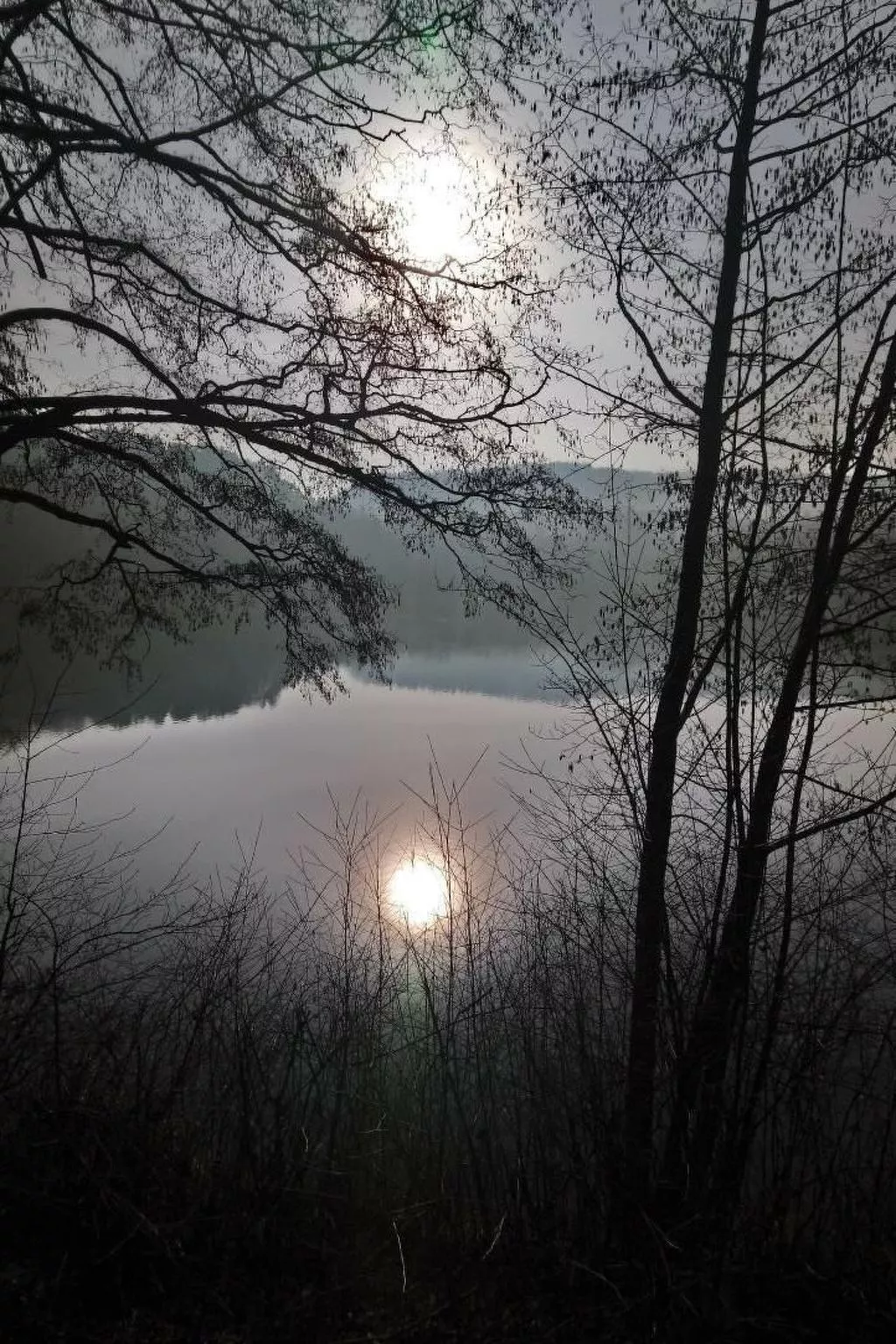 Waldhaus57 Silbersee-Draußen