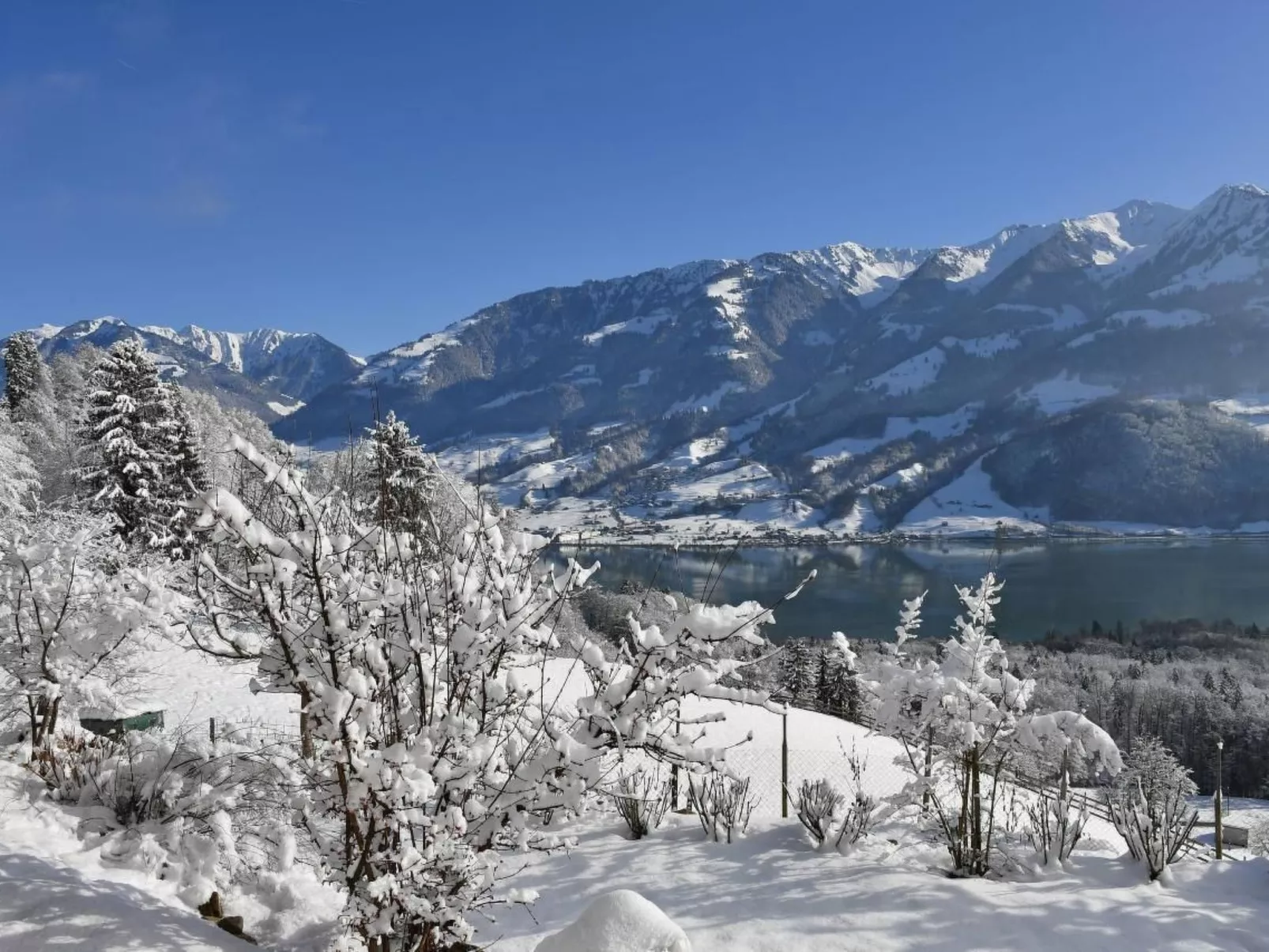 Holzhaus auf Lamahof-Outside