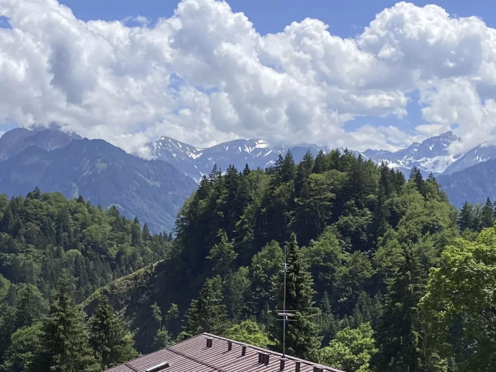 Falkenhorst Wh 25-Dehors