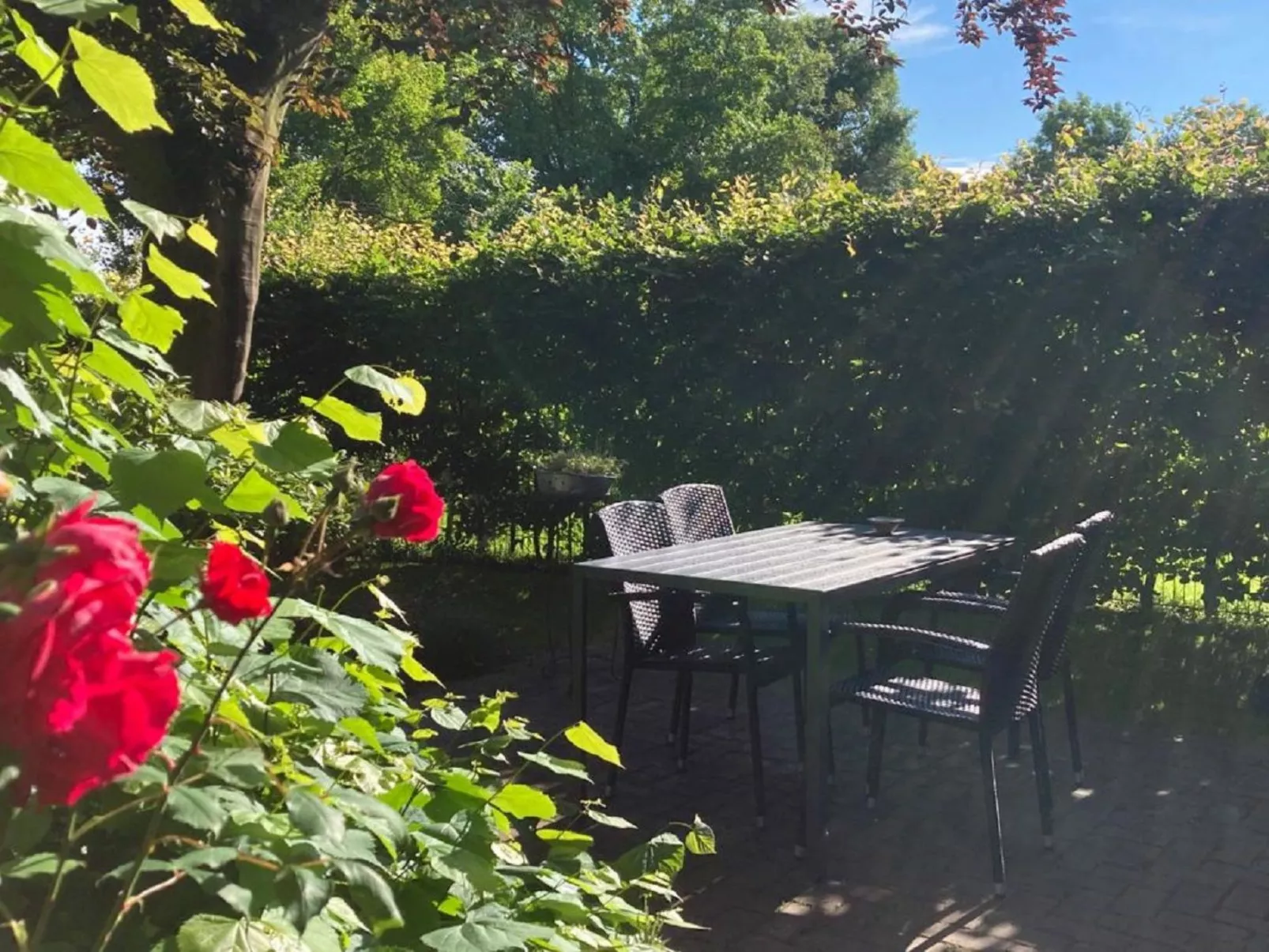 FeWo Nordnest-Draußen