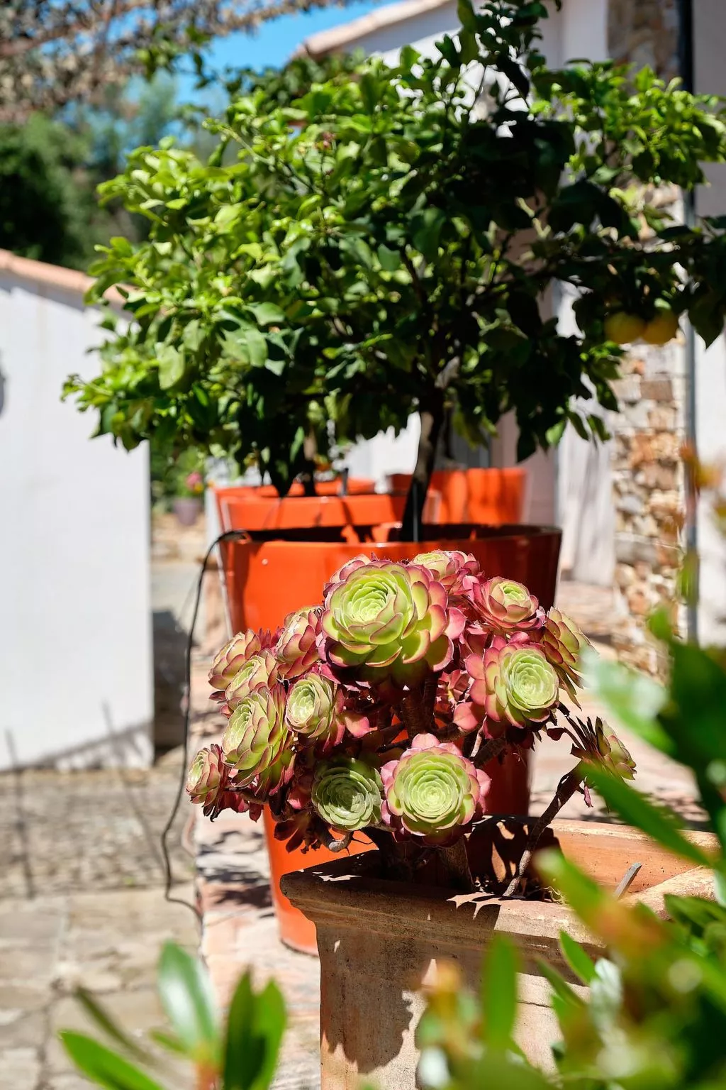 Herrliche Villa mit Meerblick, Pool, 400m vom Meer entfernt-Inside