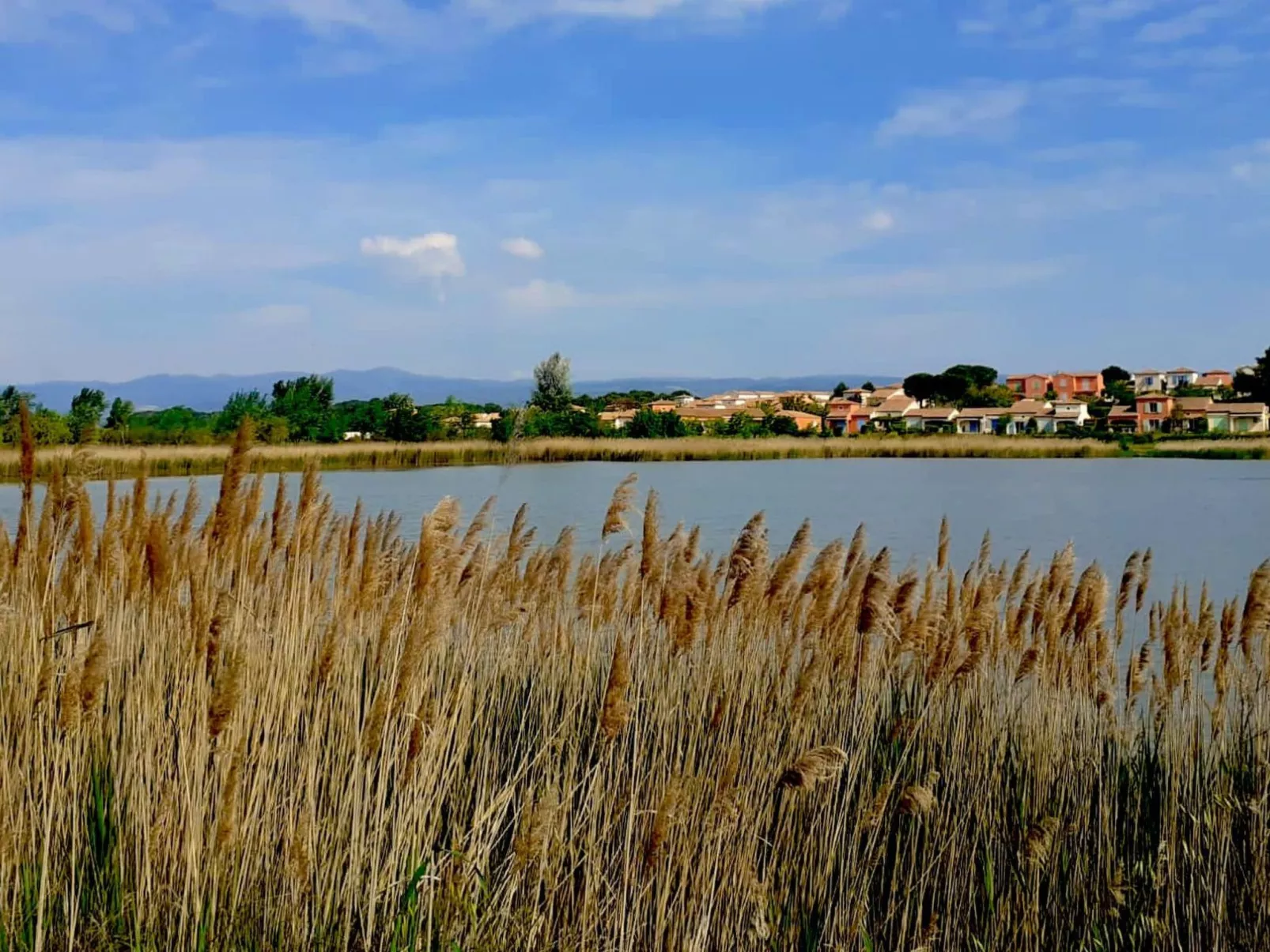 In La Livinière mit Großer Terrasse-Image-tags.info