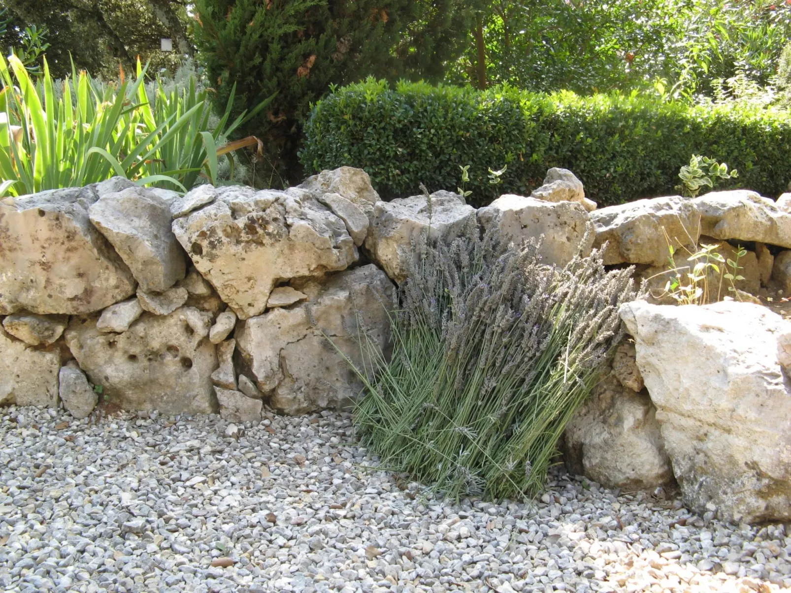 À l'abri du Mistral-Draußen