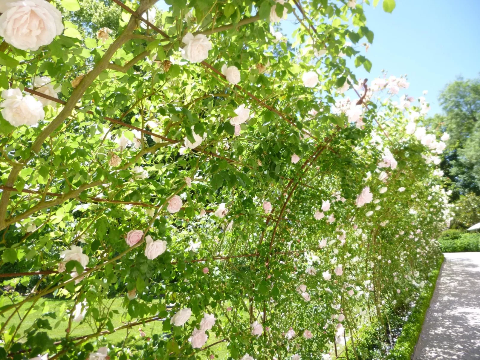 Fachwerkhaus "gitealienor perigord"-Outside