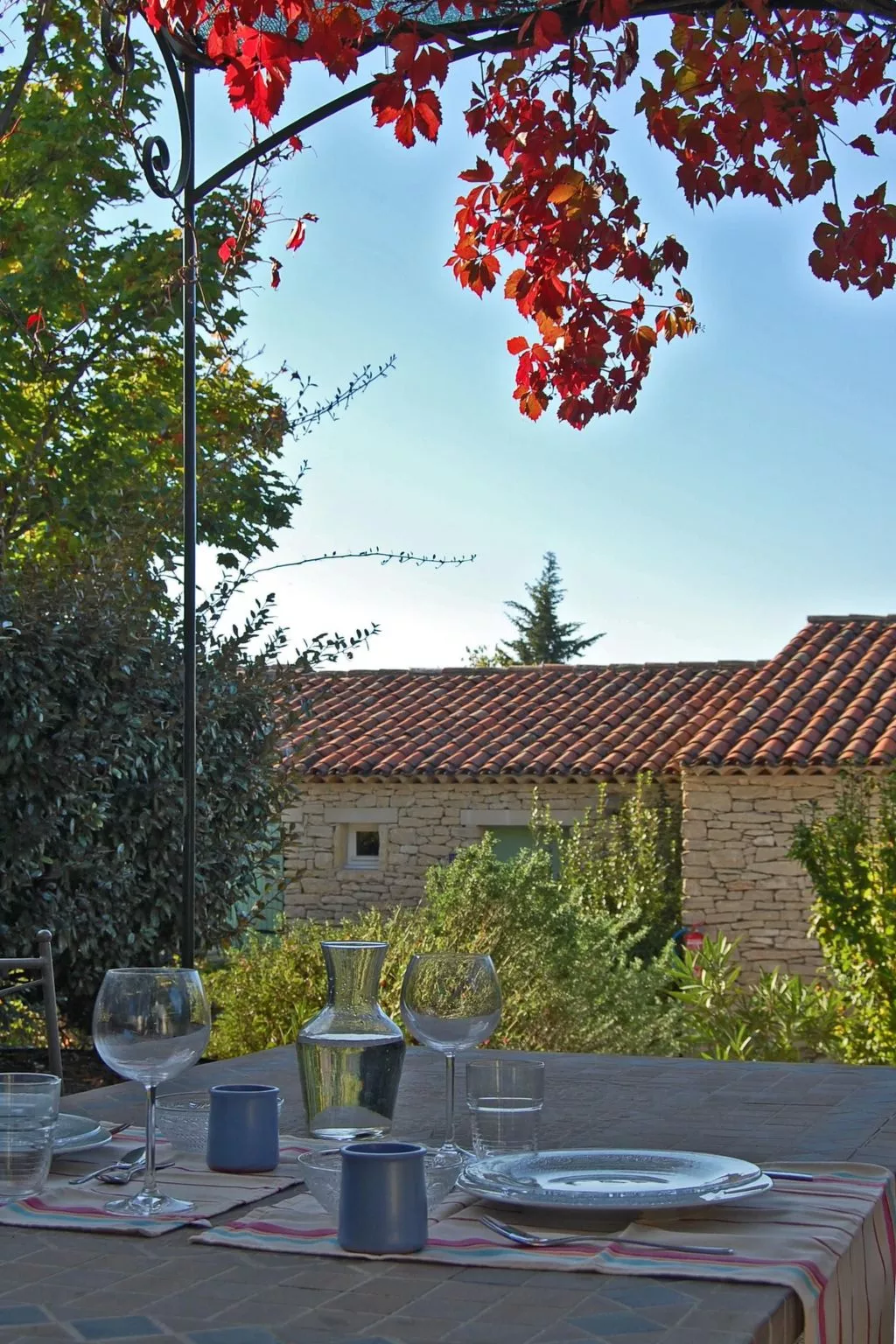 Cypres du Paradis-Draußen