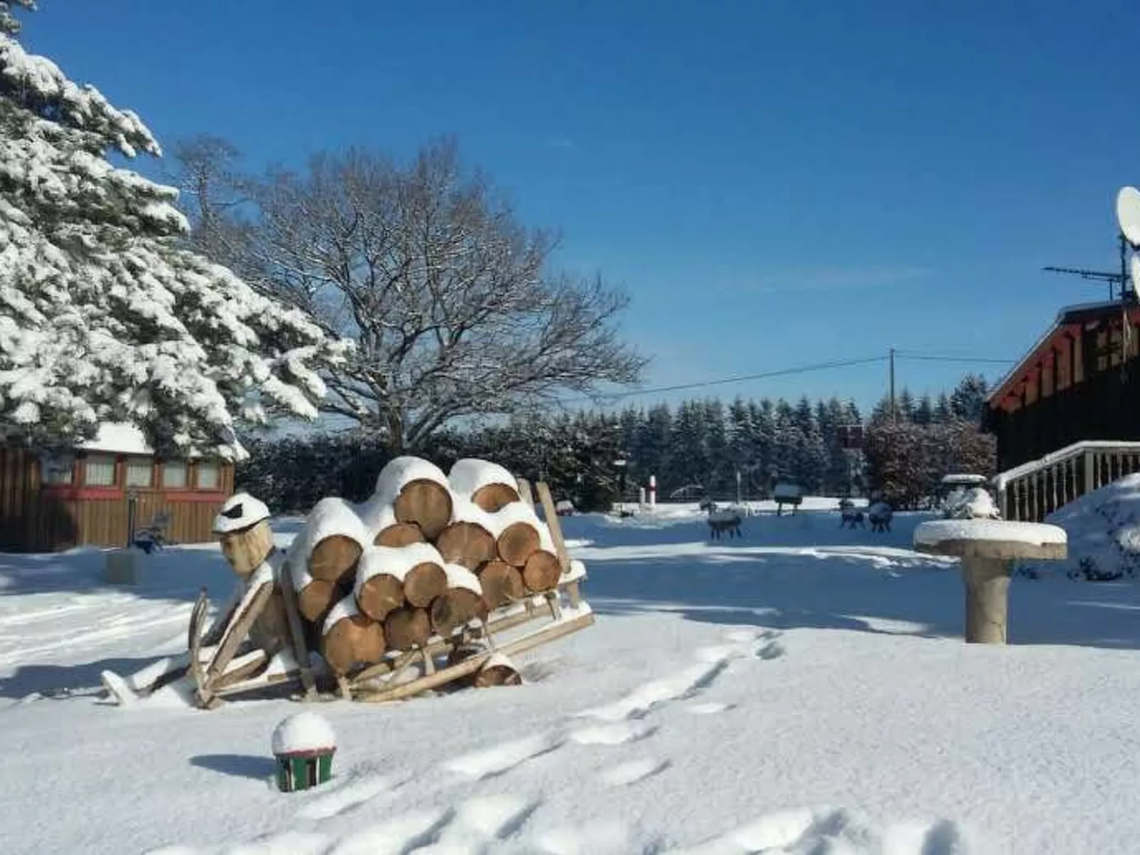 Charmantes Ferienhaus mit gemeinsamem Grill-Draußen