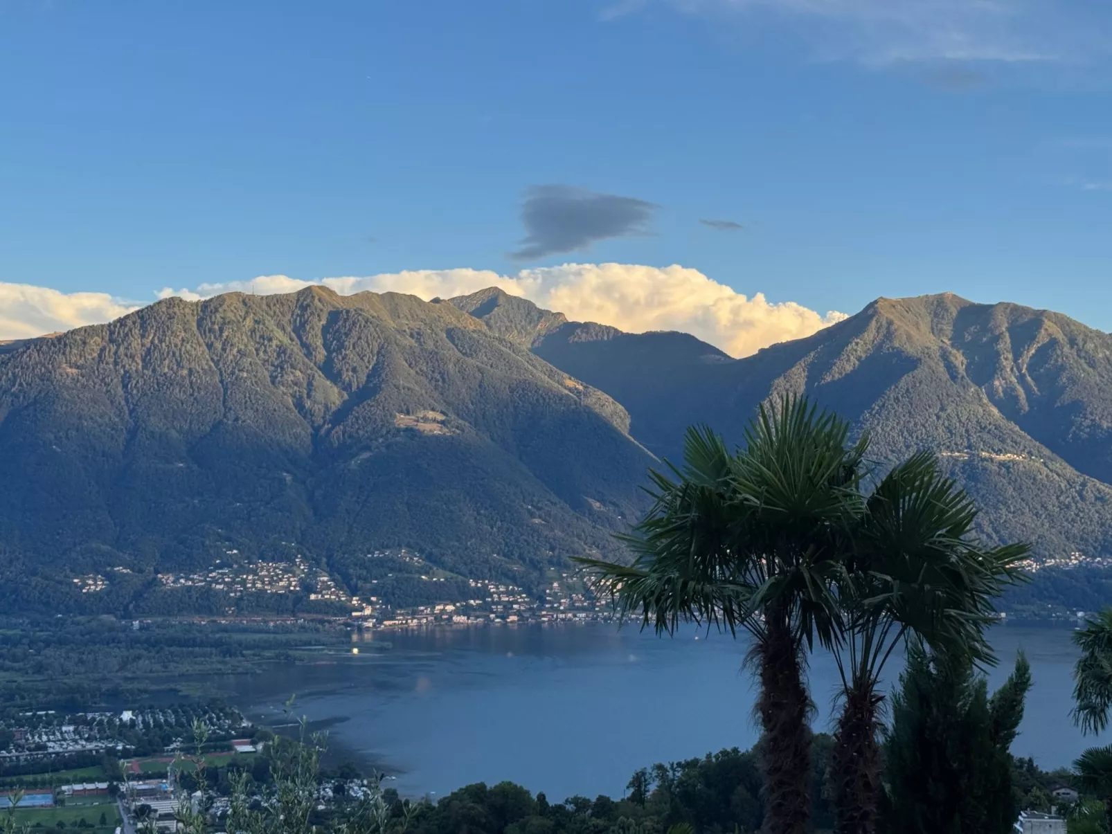 La Camelina - Contra-Draußen