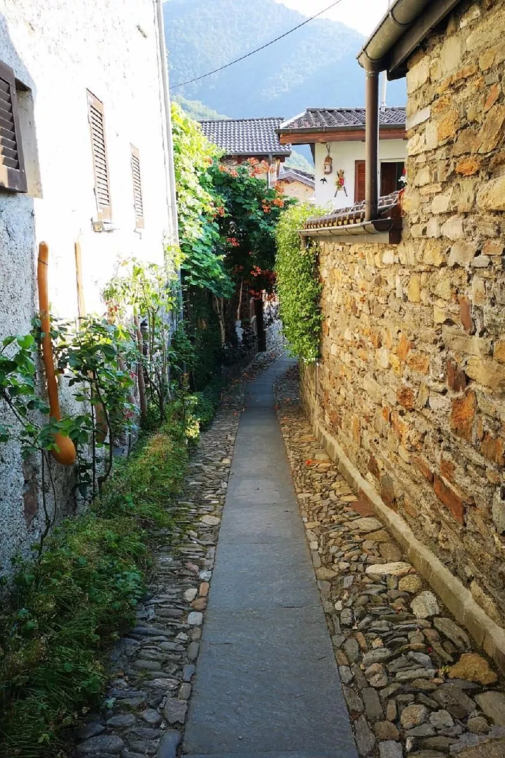 La Tortue - Draußen