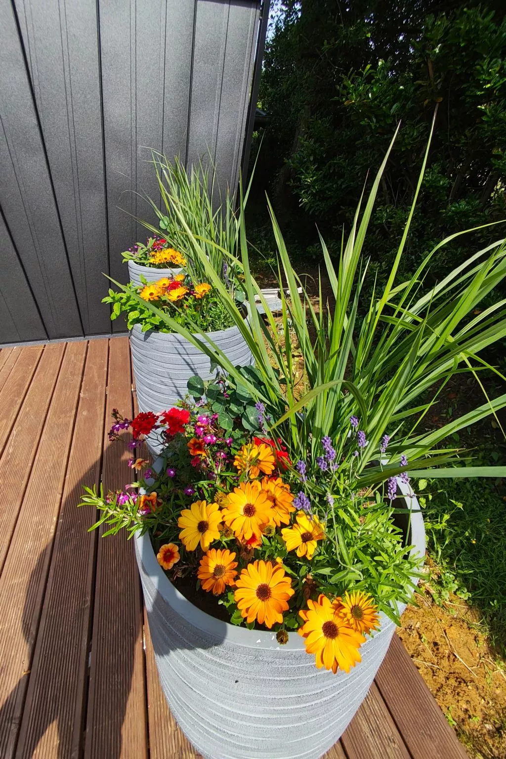 Tiny House Sundancer-Outside