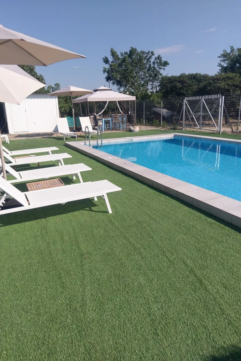 Neben Orangenbaum-Obstgarten-Outside