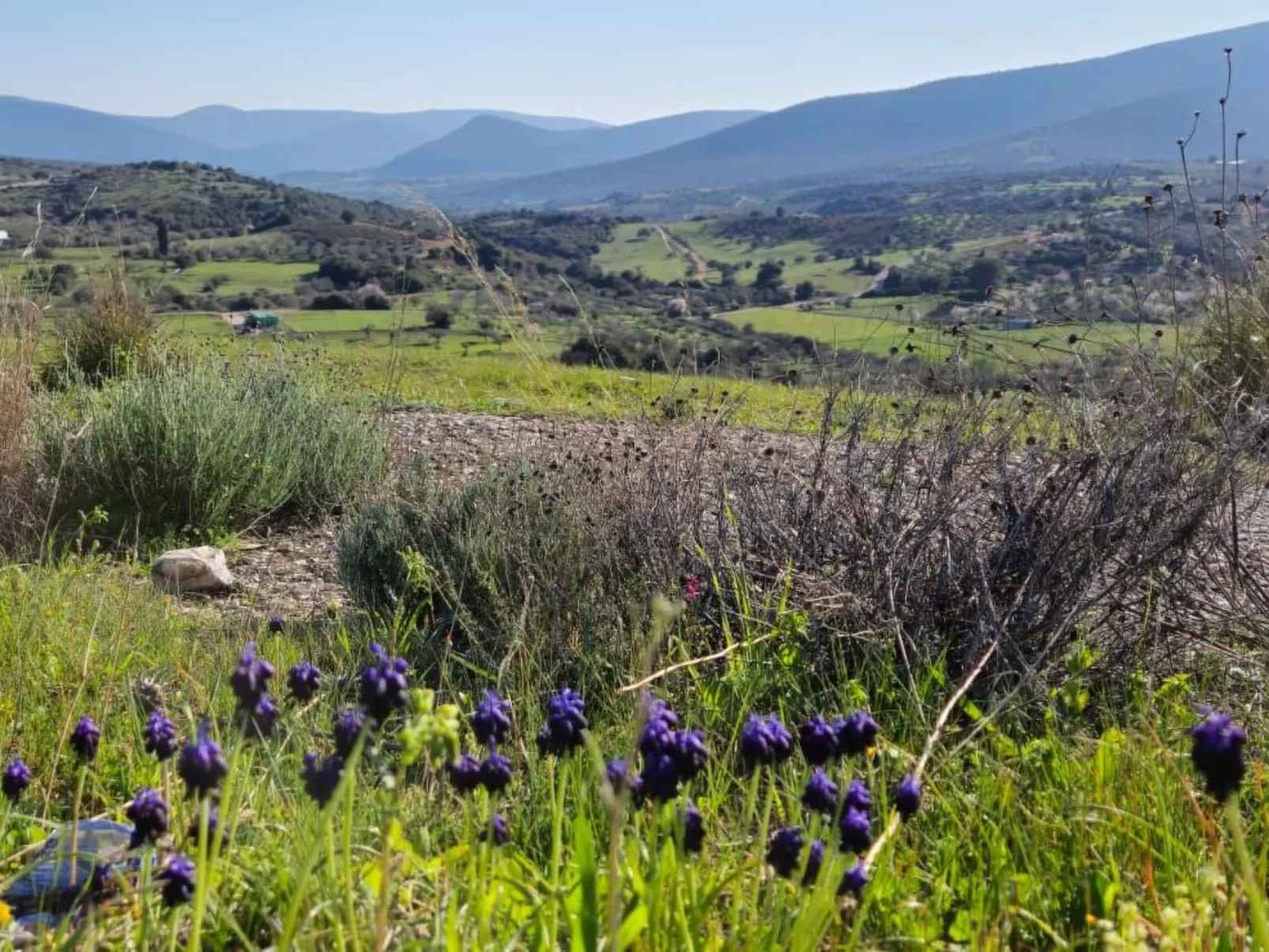 Villa Newlands, Porto Cheli - Meer und Berge.-Draußen