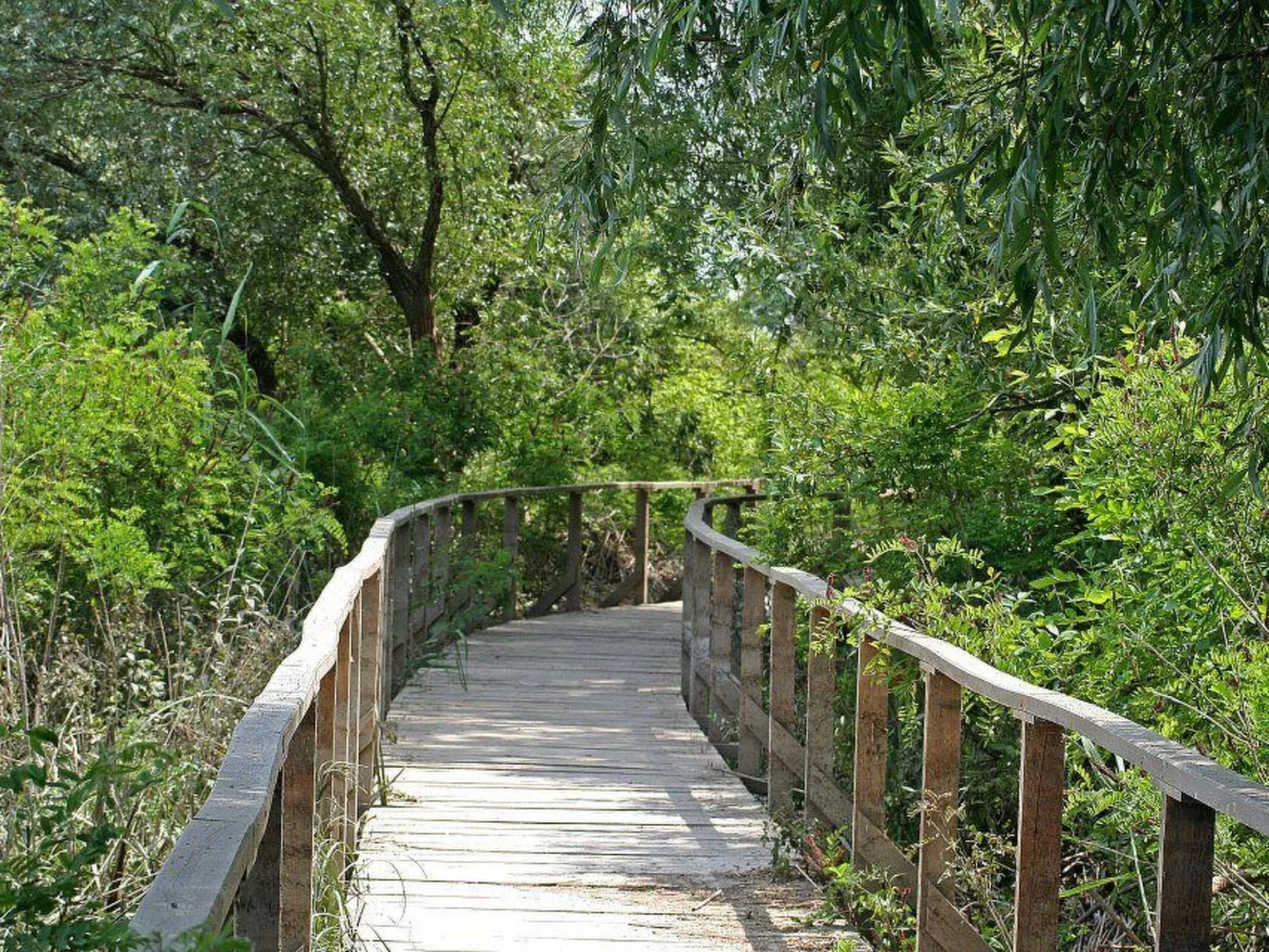 Hütte mit Garten, Grill und Terrasse-Dehors