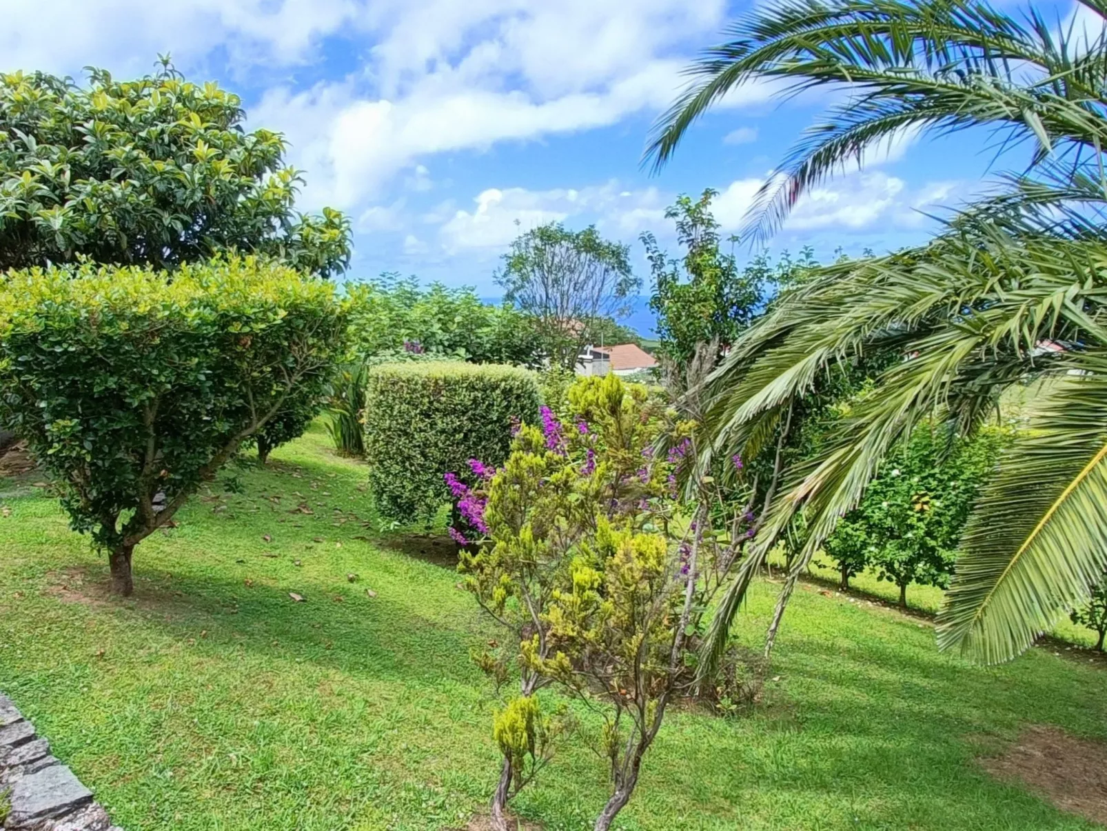 Casa da Talha, Rustikaler Charme auf den Azoren-Draußen