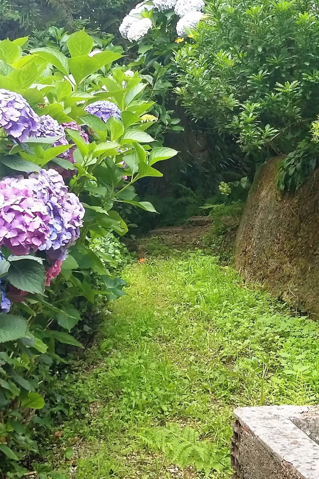 Quinta D'Avó Amélia, wunderschönes Landhaus zwischen den Bergen und dem Meer-Draußen