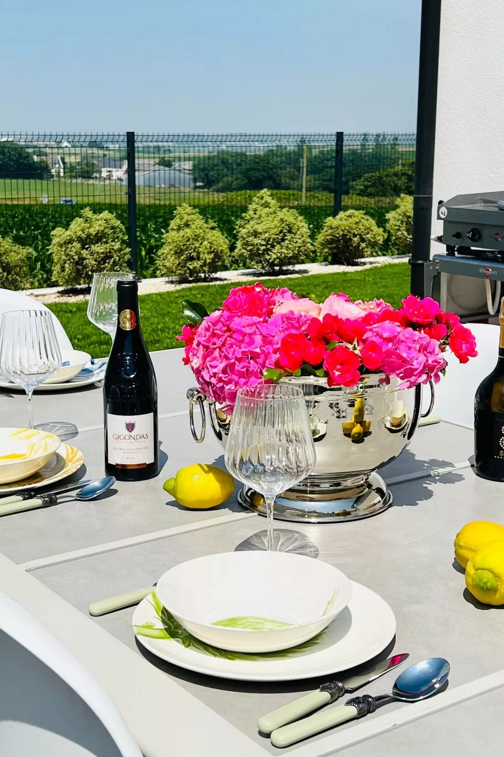 Villa Bellevue-Draußen