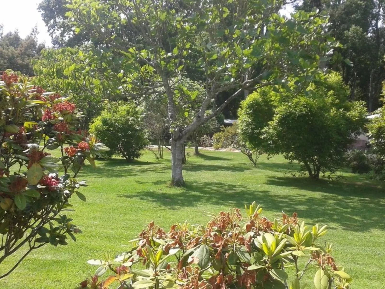Chalet "gite du bois d'amour" (Hütte des Liebesh-Outside