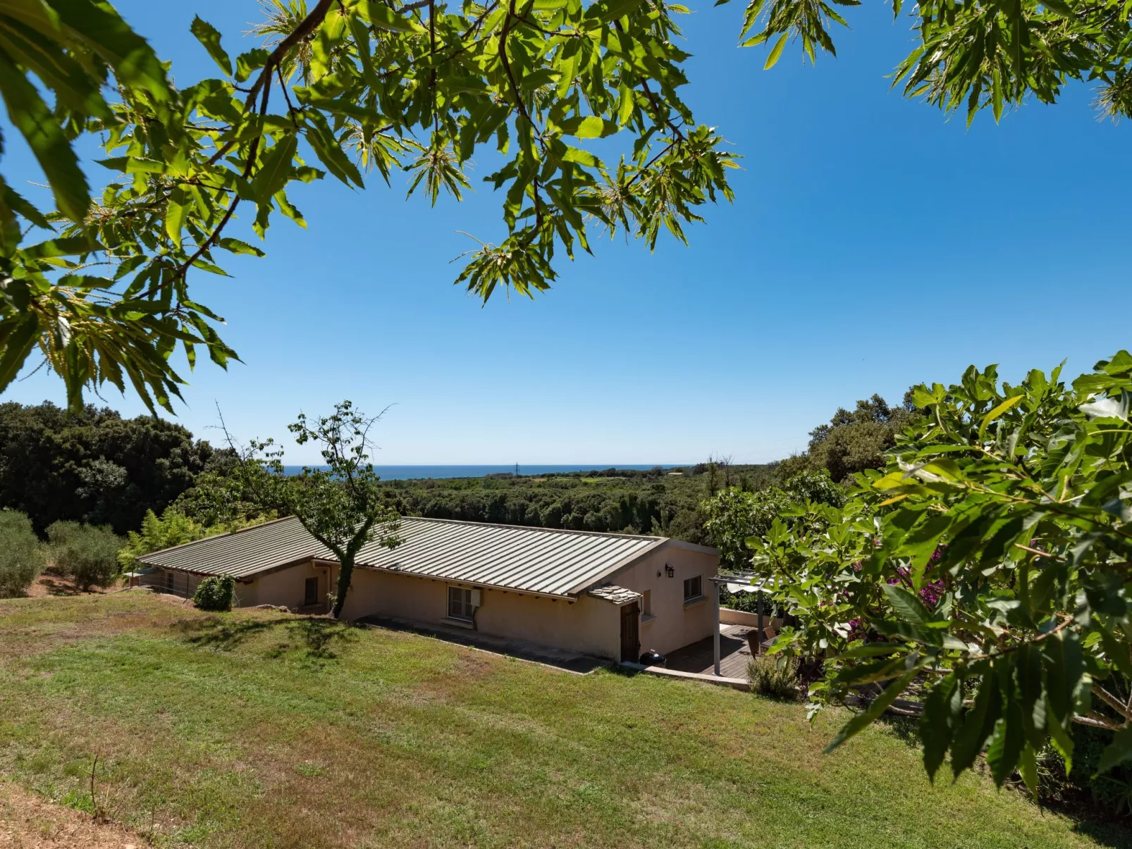 Domaine Punta della Guardia Maison A Figa mit Blick auf das Meer-Dehors