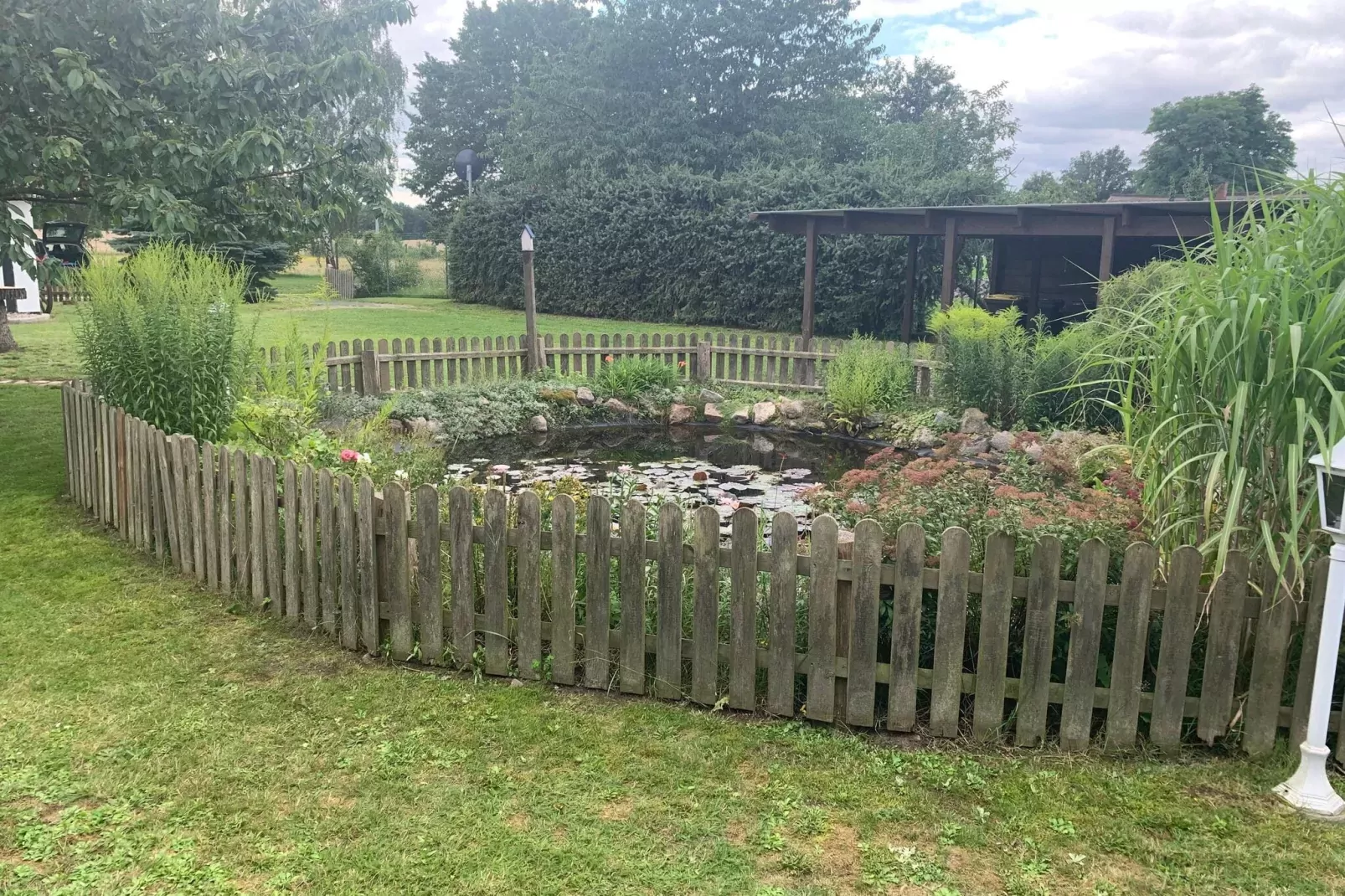 Reetdachhaus-Gardens summer