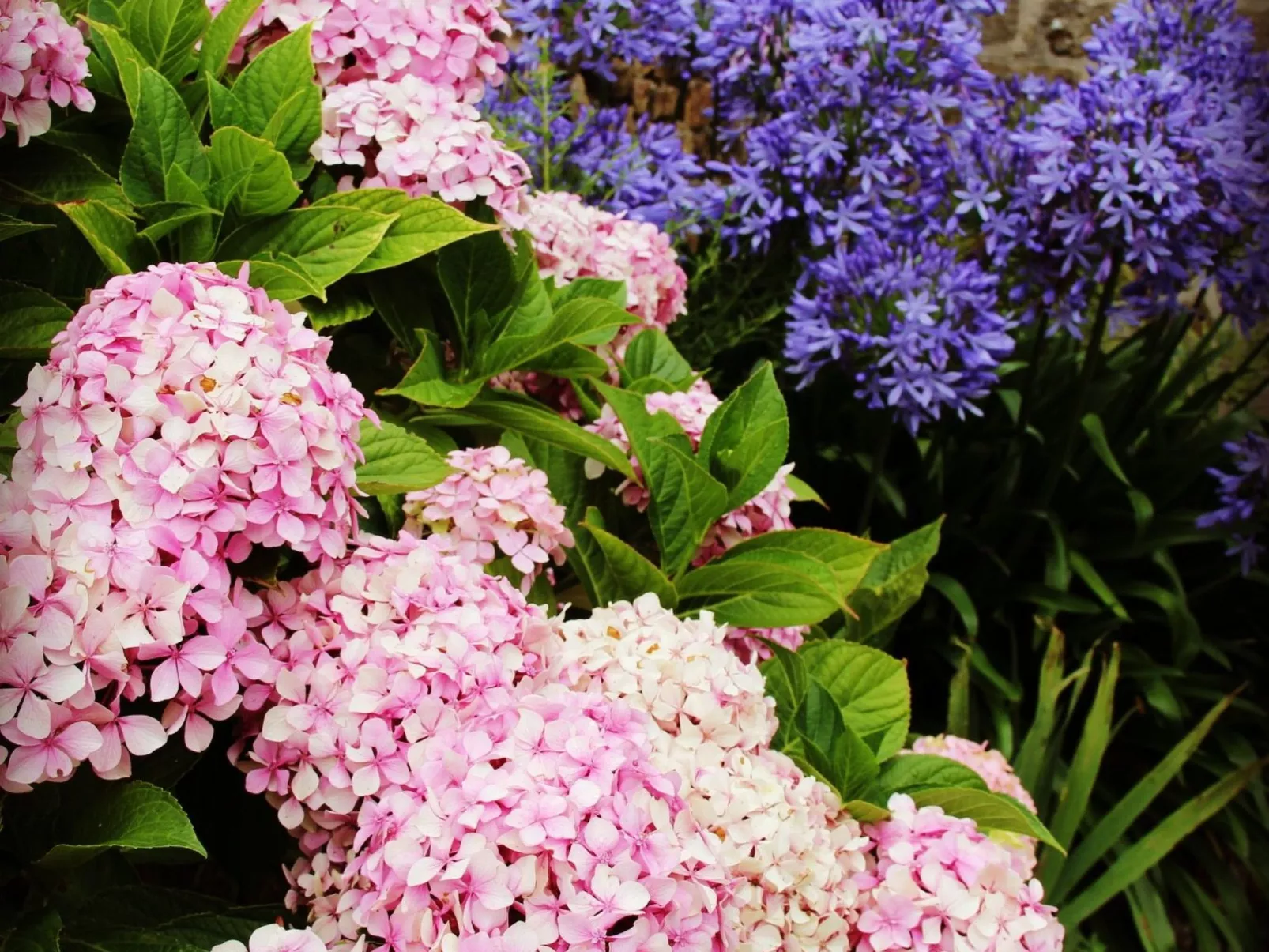 "KerMamGoz" in Strandnähe-Dehors