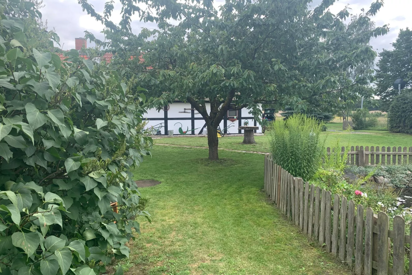Reetdachhaus-Gardens summer