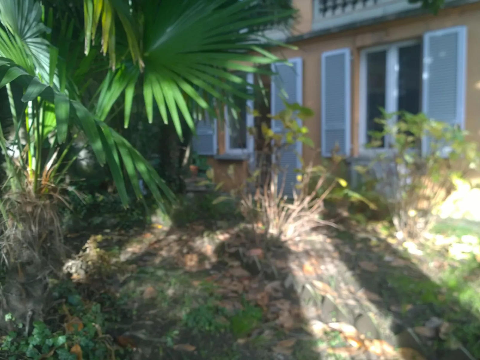 Mit Blick auf das Wasser-Dehors