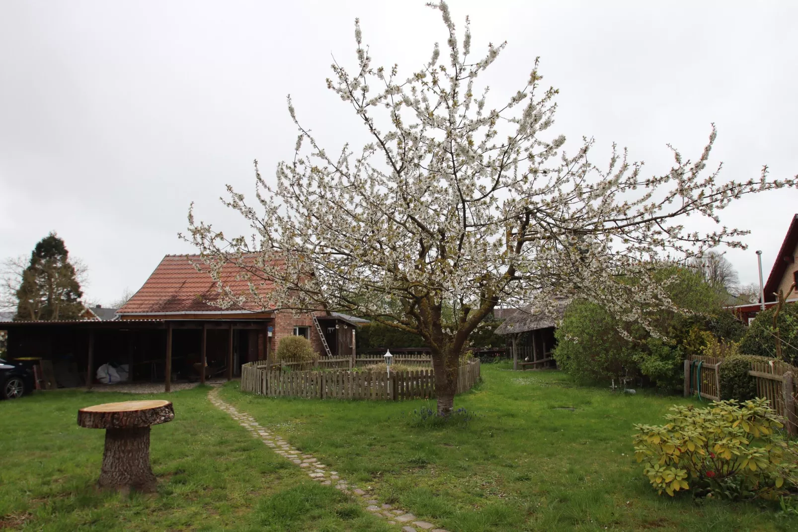 Reetdachhaus-Gardens summer