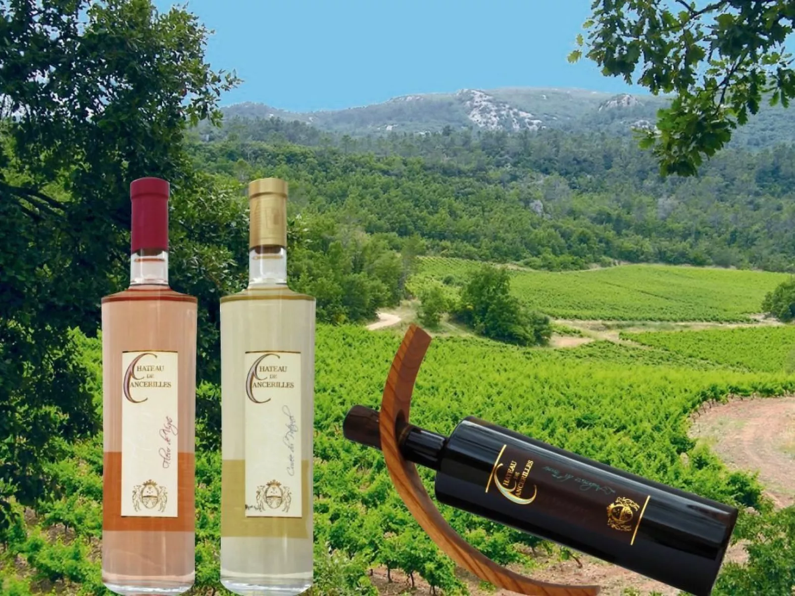 Wohnung in charmantem Haus auf Domäne-Draußen