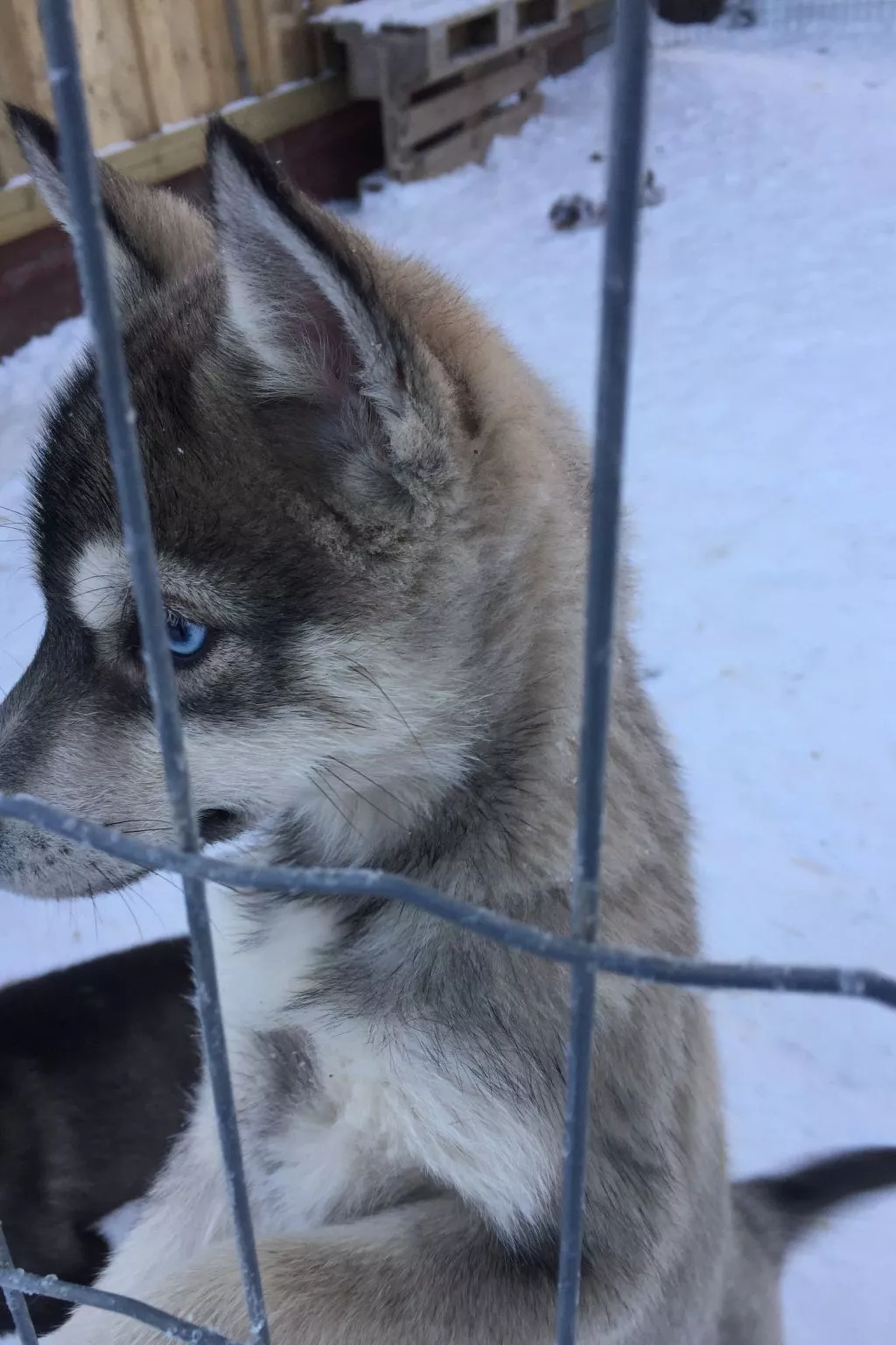 Villa Cottage-Image-tags.info