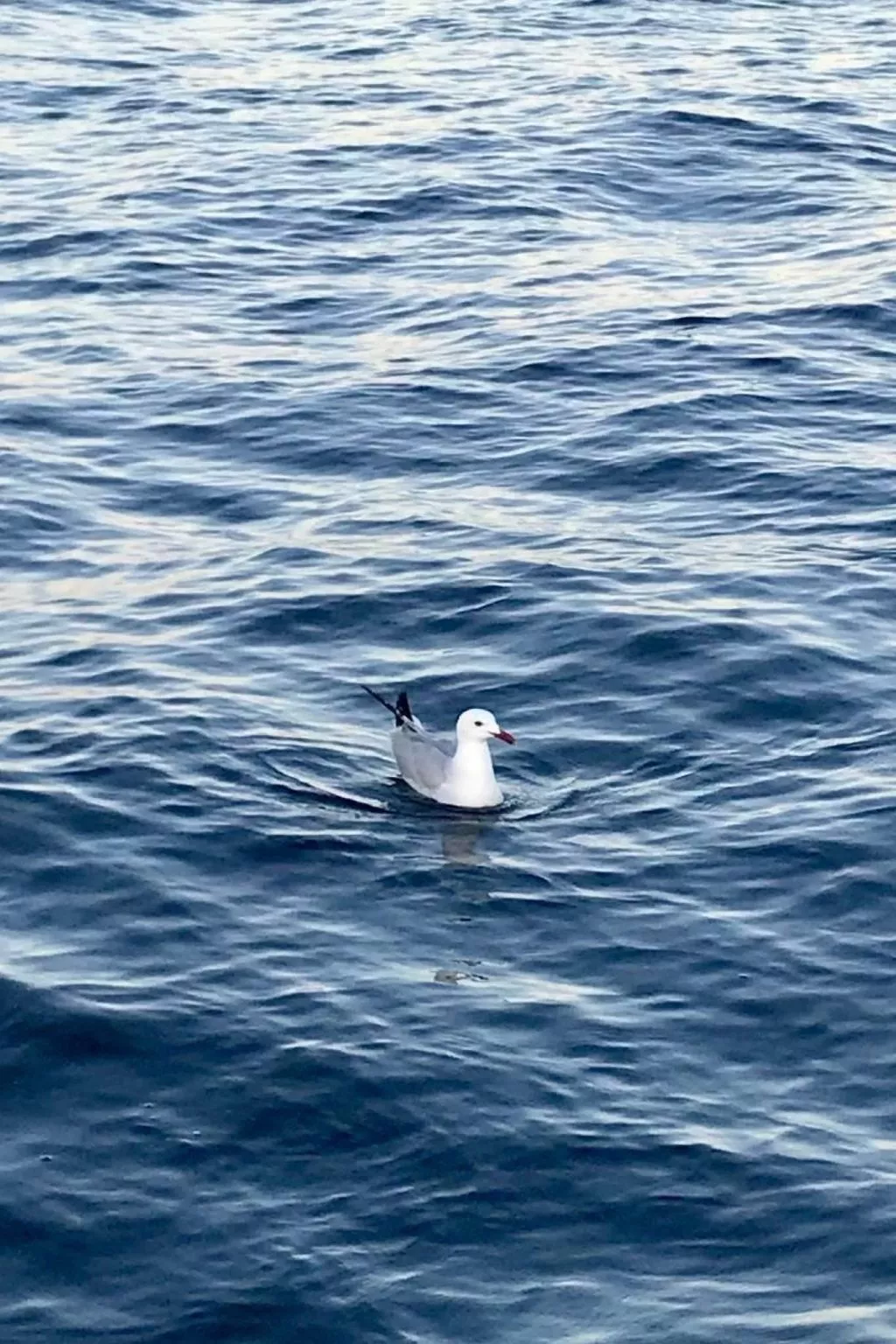 Villa mit privatem Pool-Outside