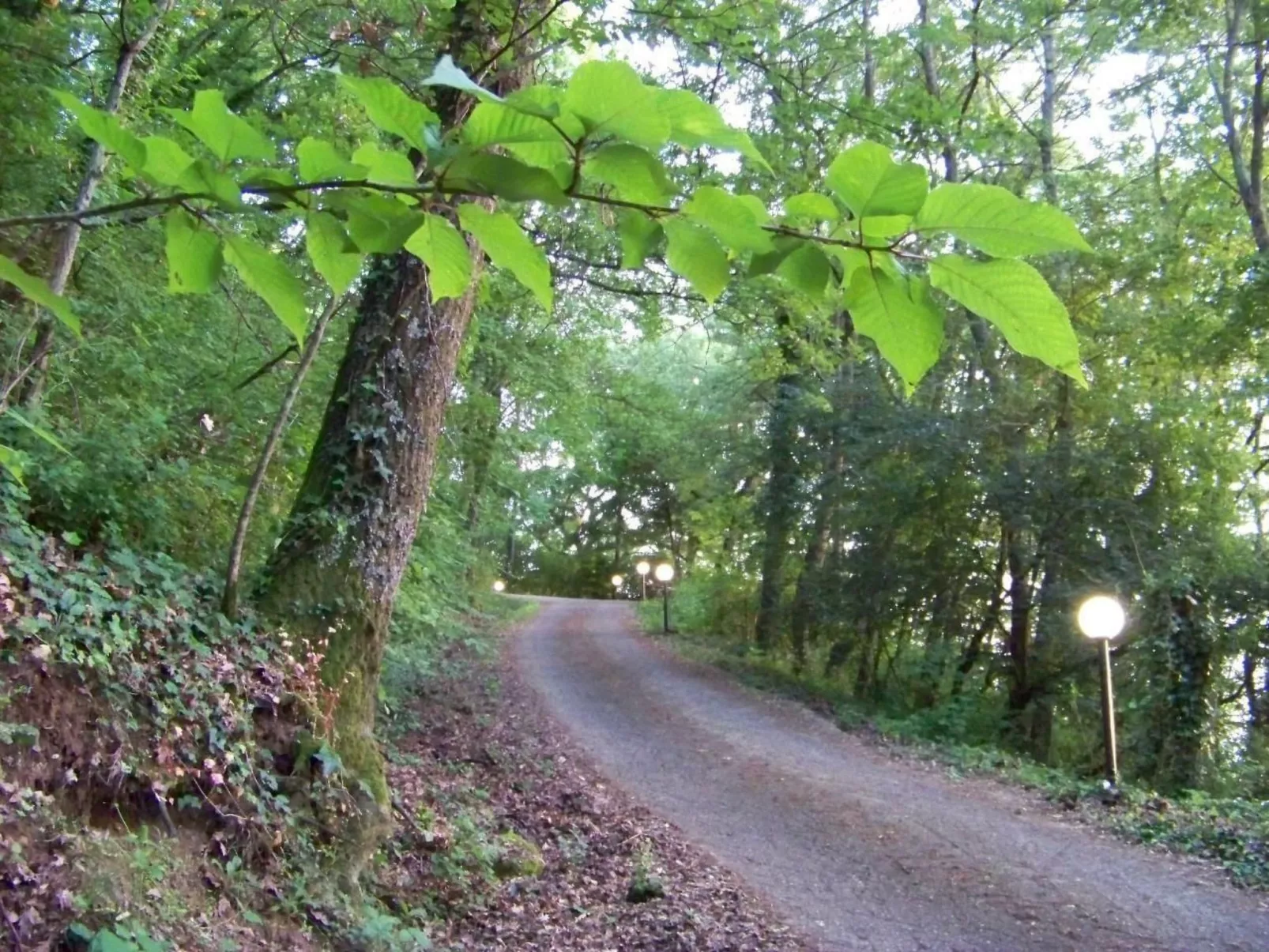 Villa auf dem Seehügel-Draußen
