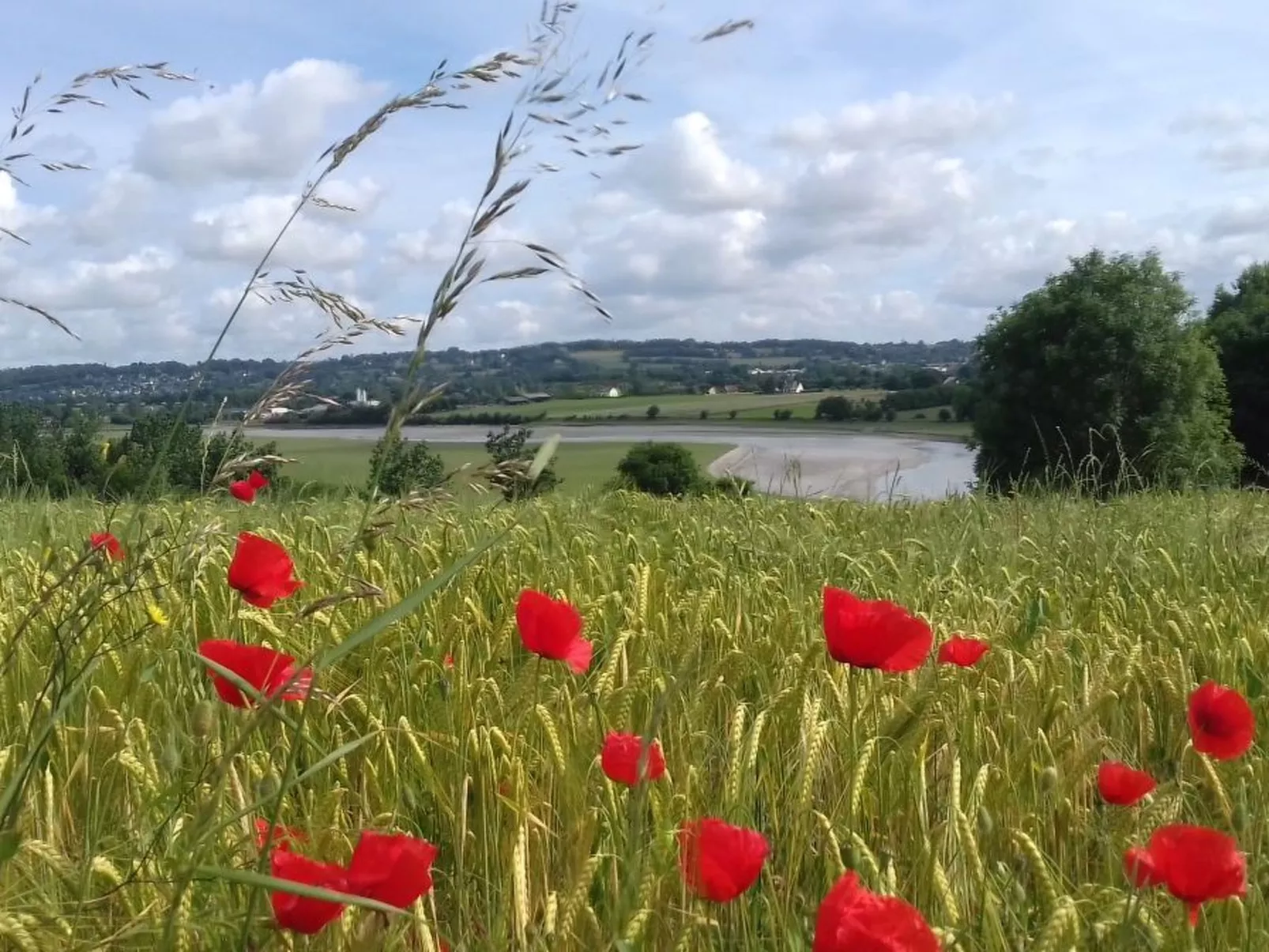 Gite Pamphilienne mit Blick auf Mont Saint Michel-Dehors