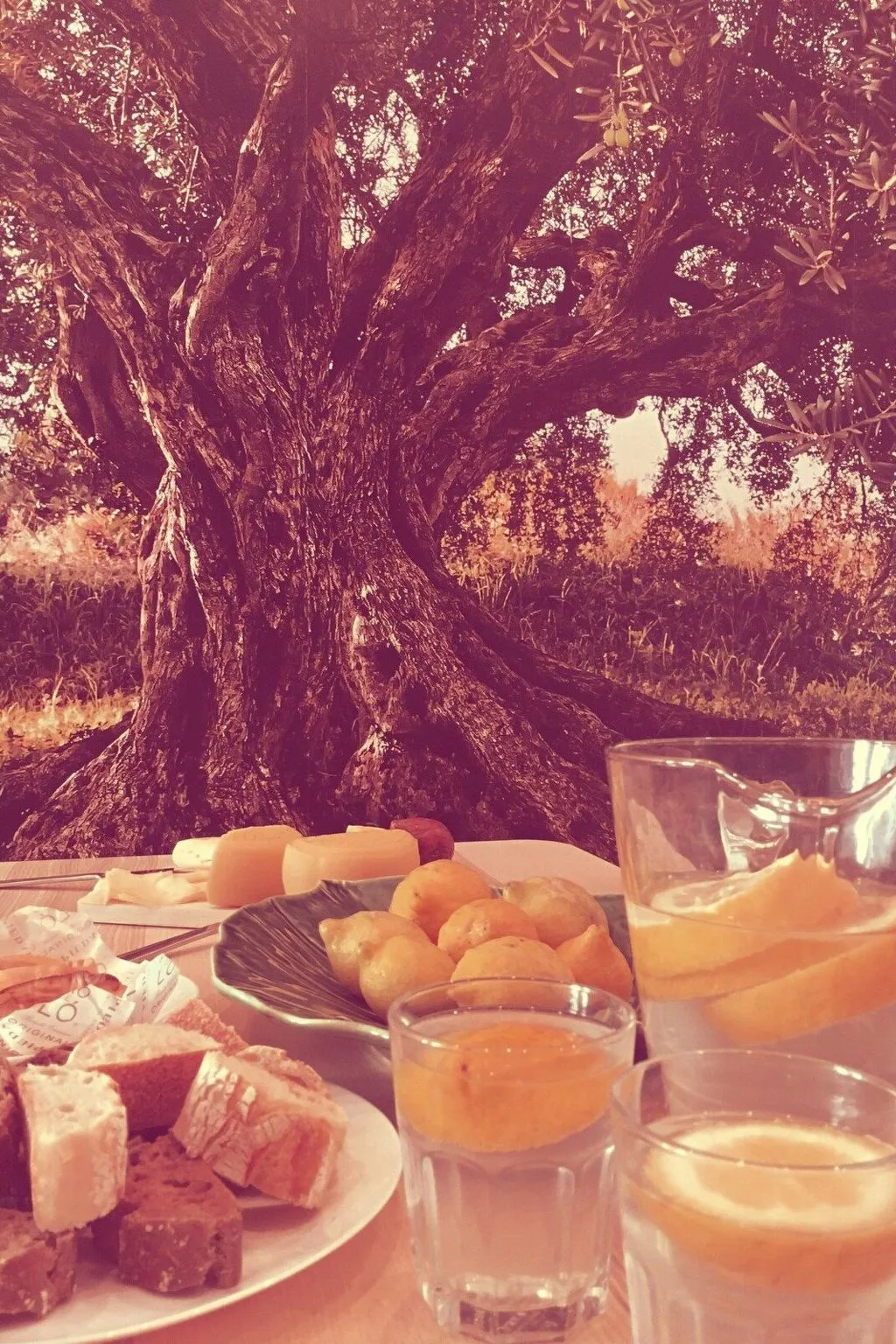 Haus im Hof 1-Draußen