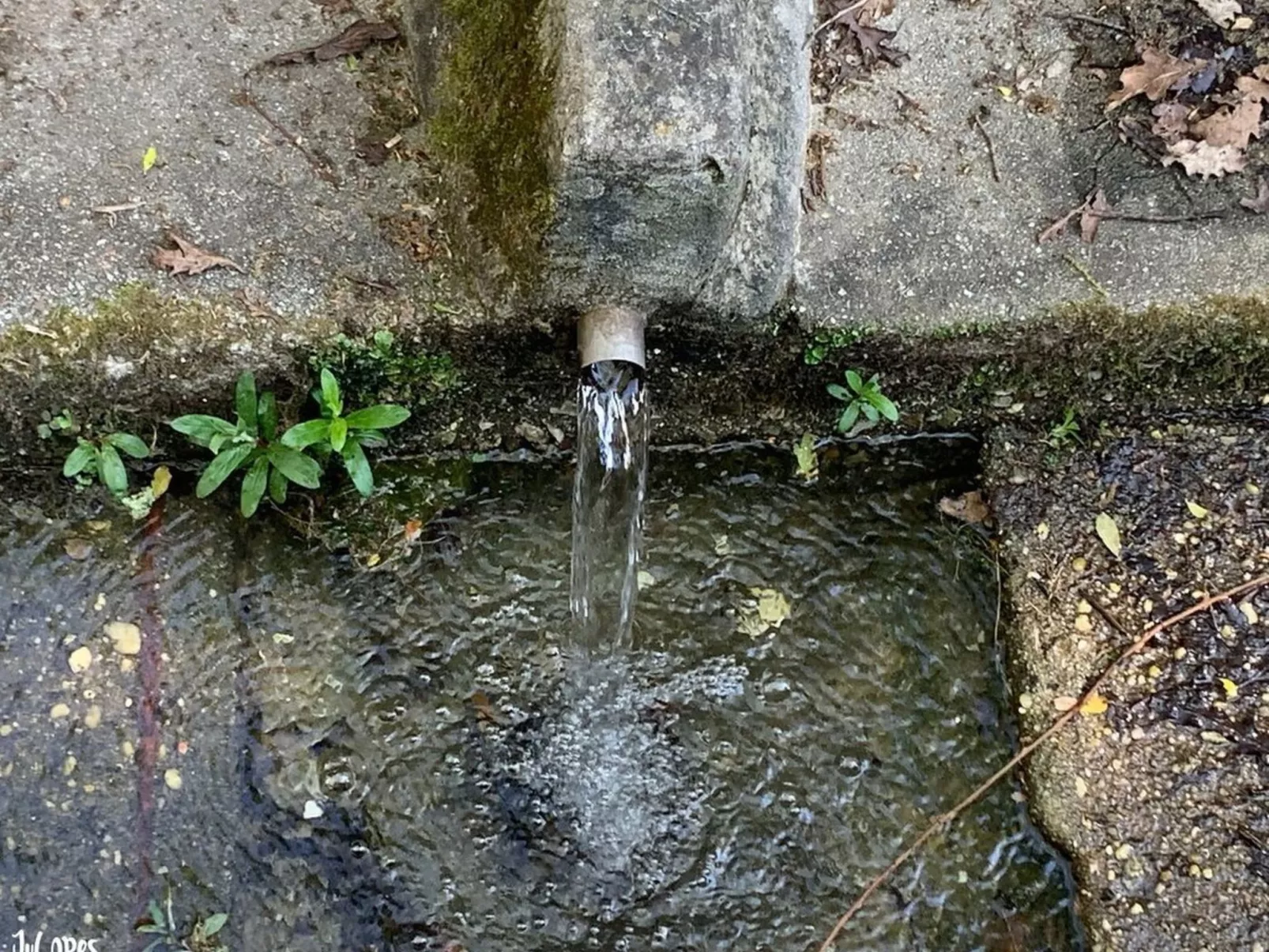Das Haus Bairrada mit freier Garage-Draußen