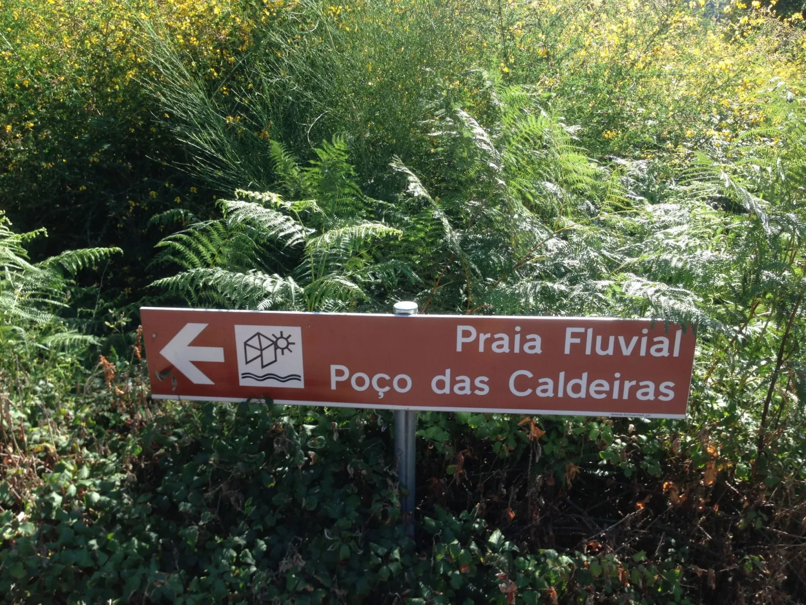 "Großvaters Häuschen" mit Kamin-Draußen