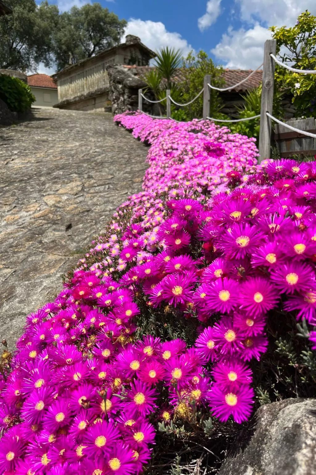 Casas das Olas 5 - Großartige Aussicht, 2 Pools, idealer Ort zum Entspannen und-Draußen