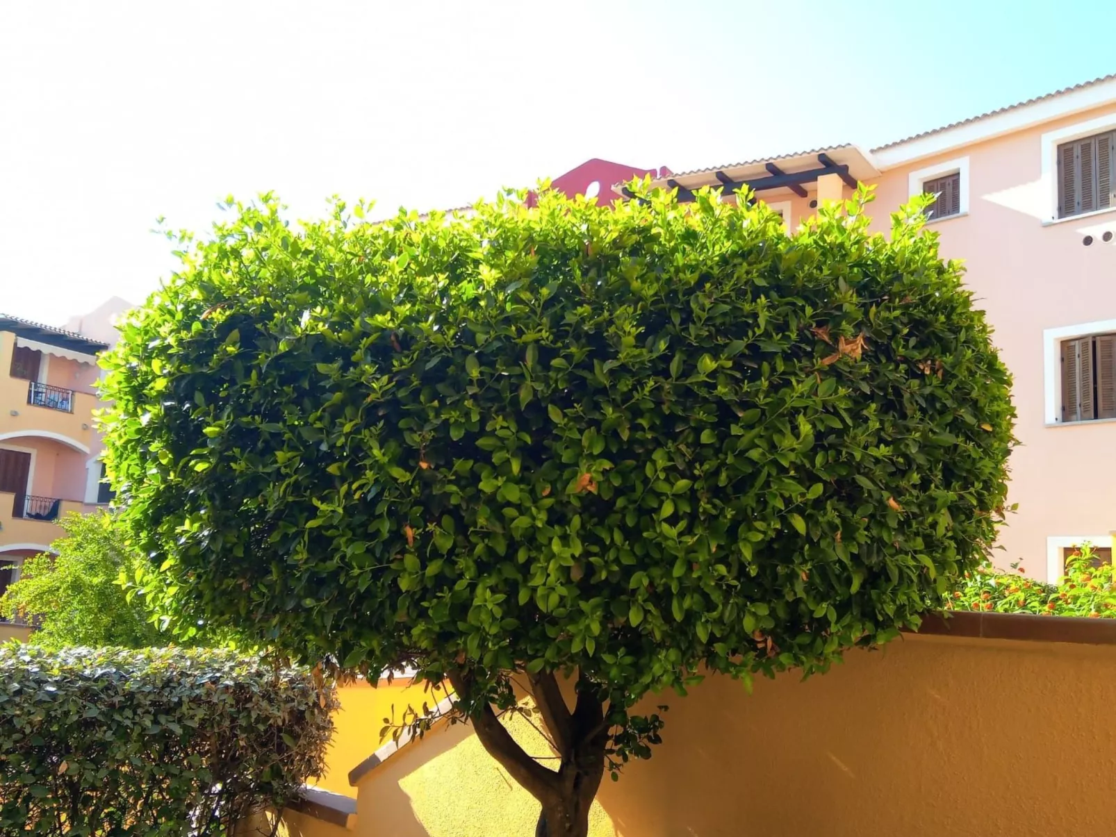 Fabelhaft studio in Santa Teresa Gallura-Draußen