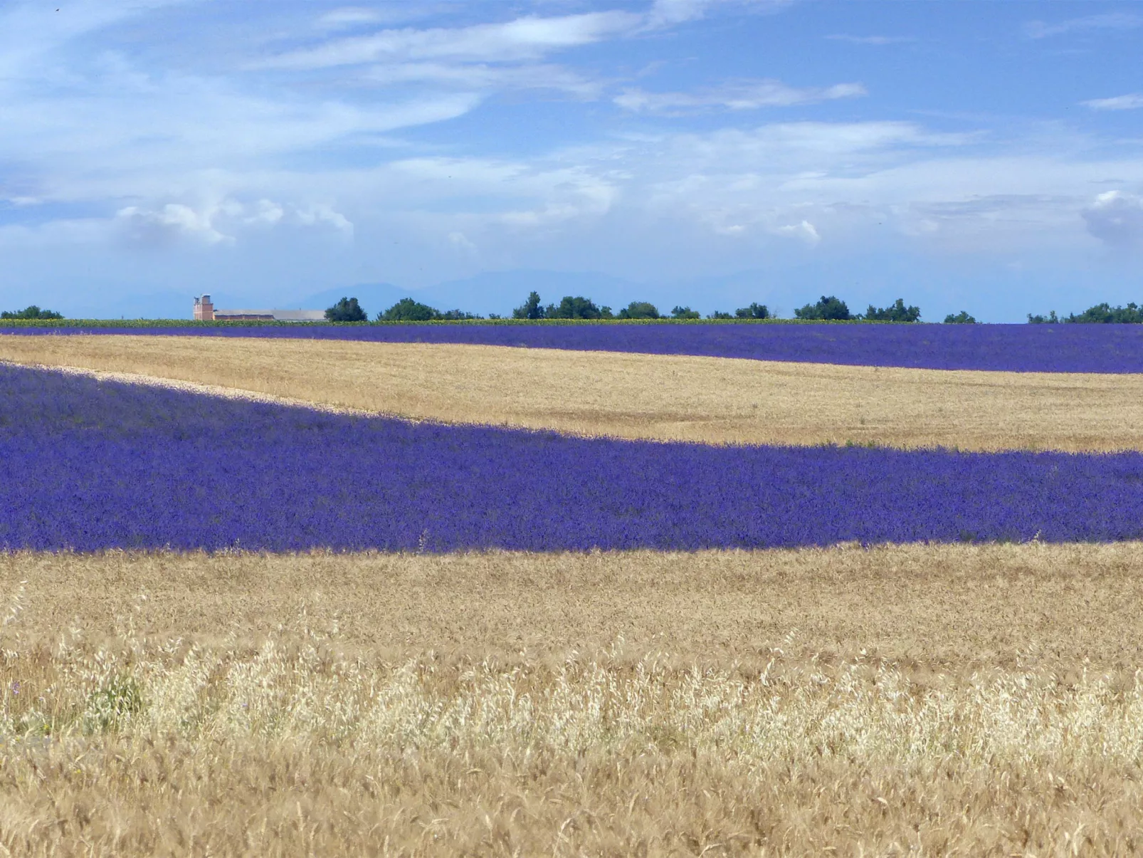 "Samson" mit Kamin-Umgebung