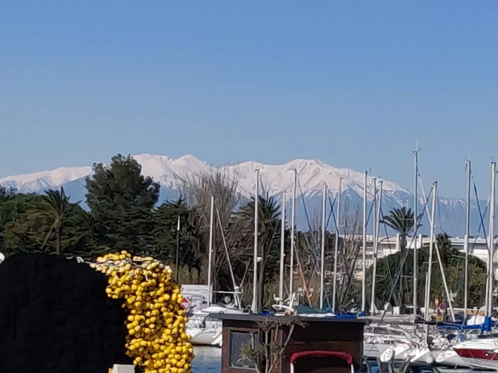 "Clos Saint-Cyprien"-Outside