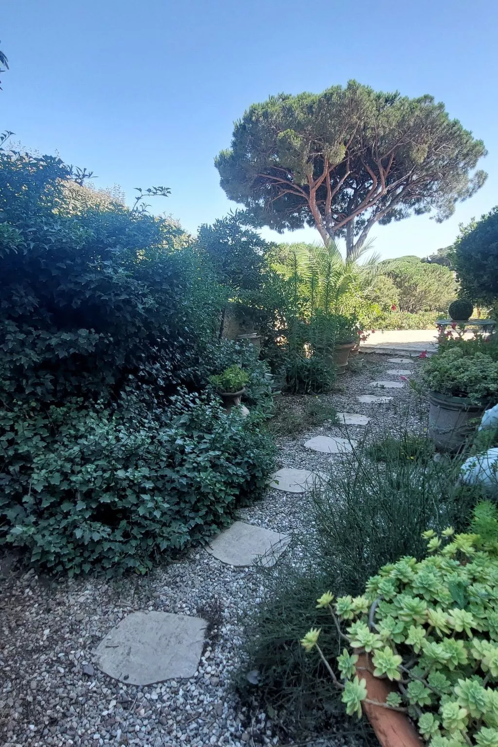 Der Meereswind-Image-tags.info